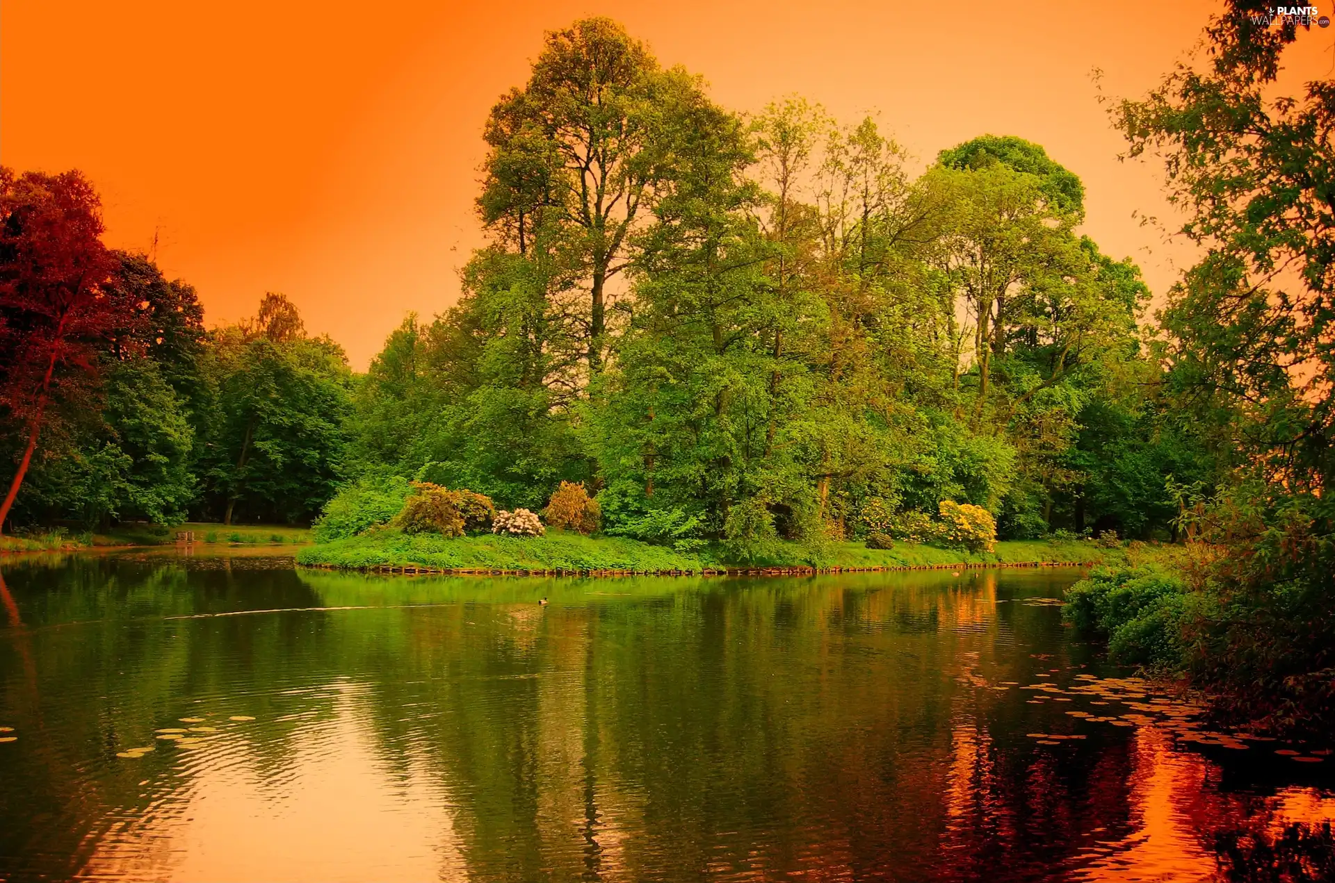 River, trees, viewes, Park