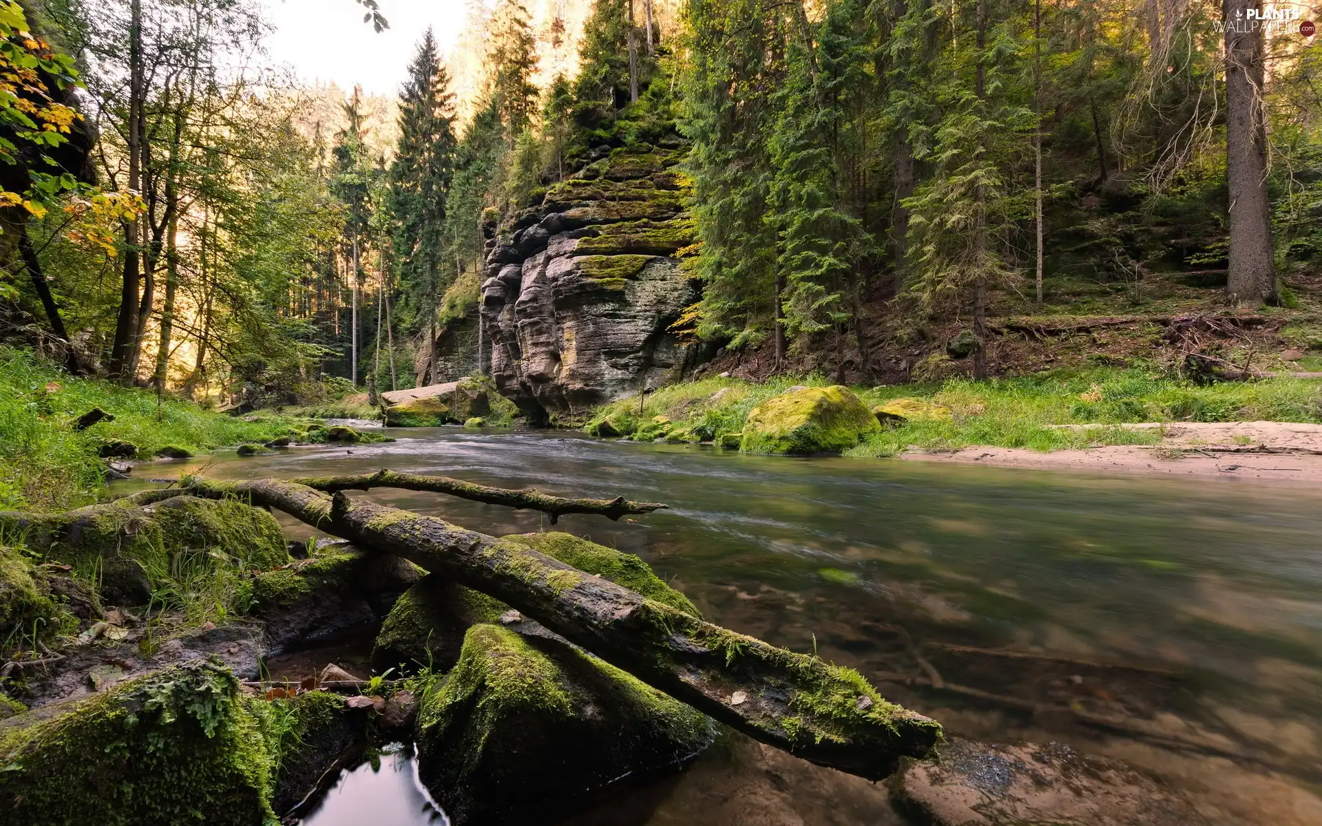 River, trees, viewes, rocks