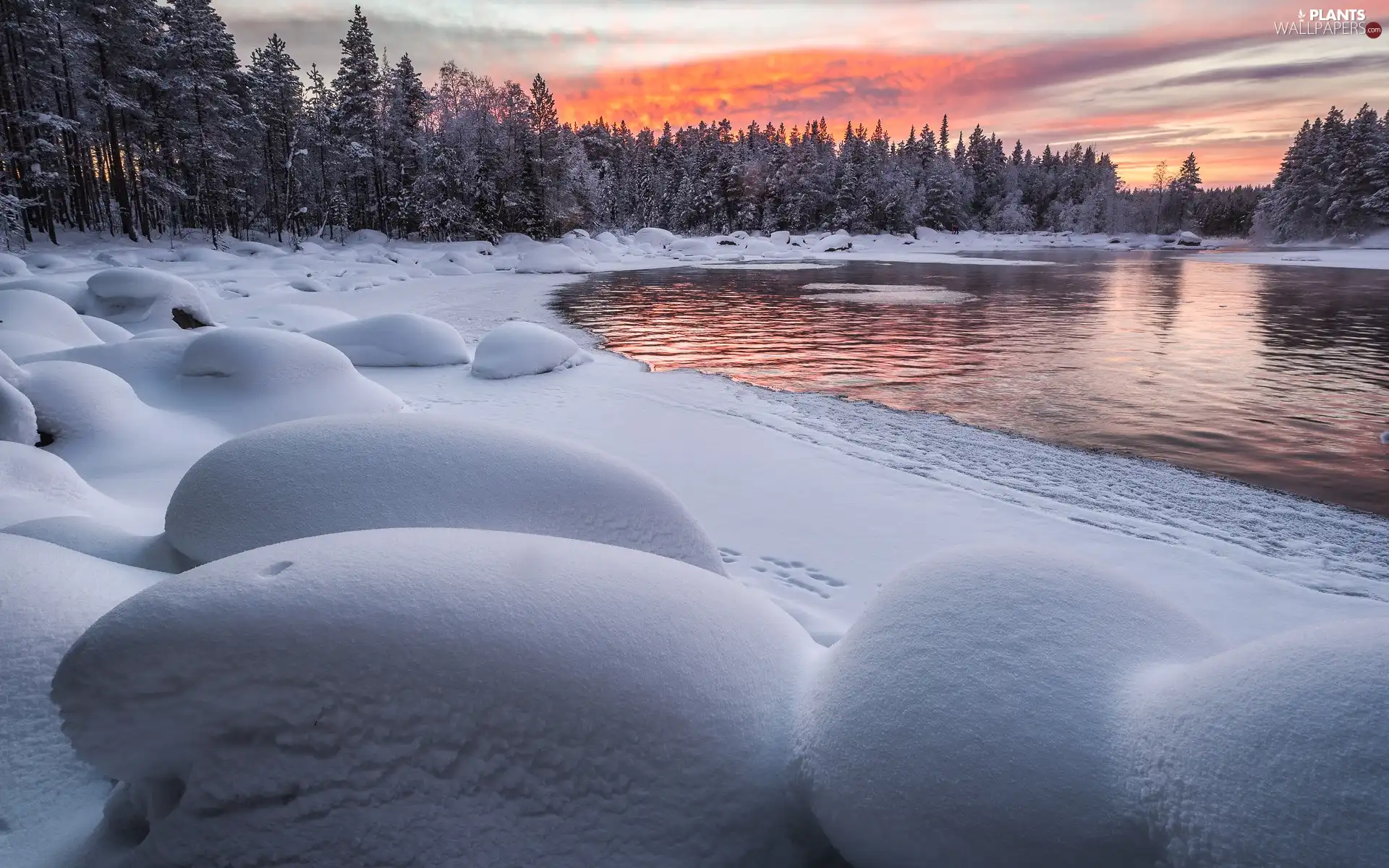 snow, winter, trees, viewes, drifts, River