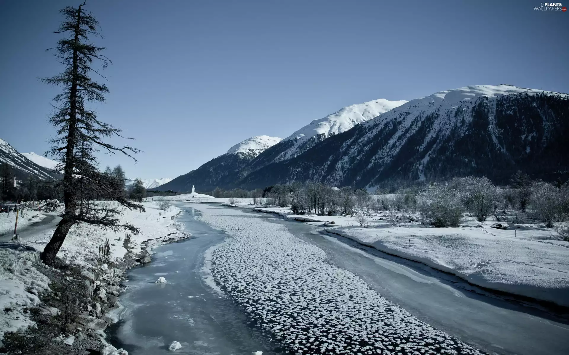 snow, Mountains, trees, viewes, Icecream, River