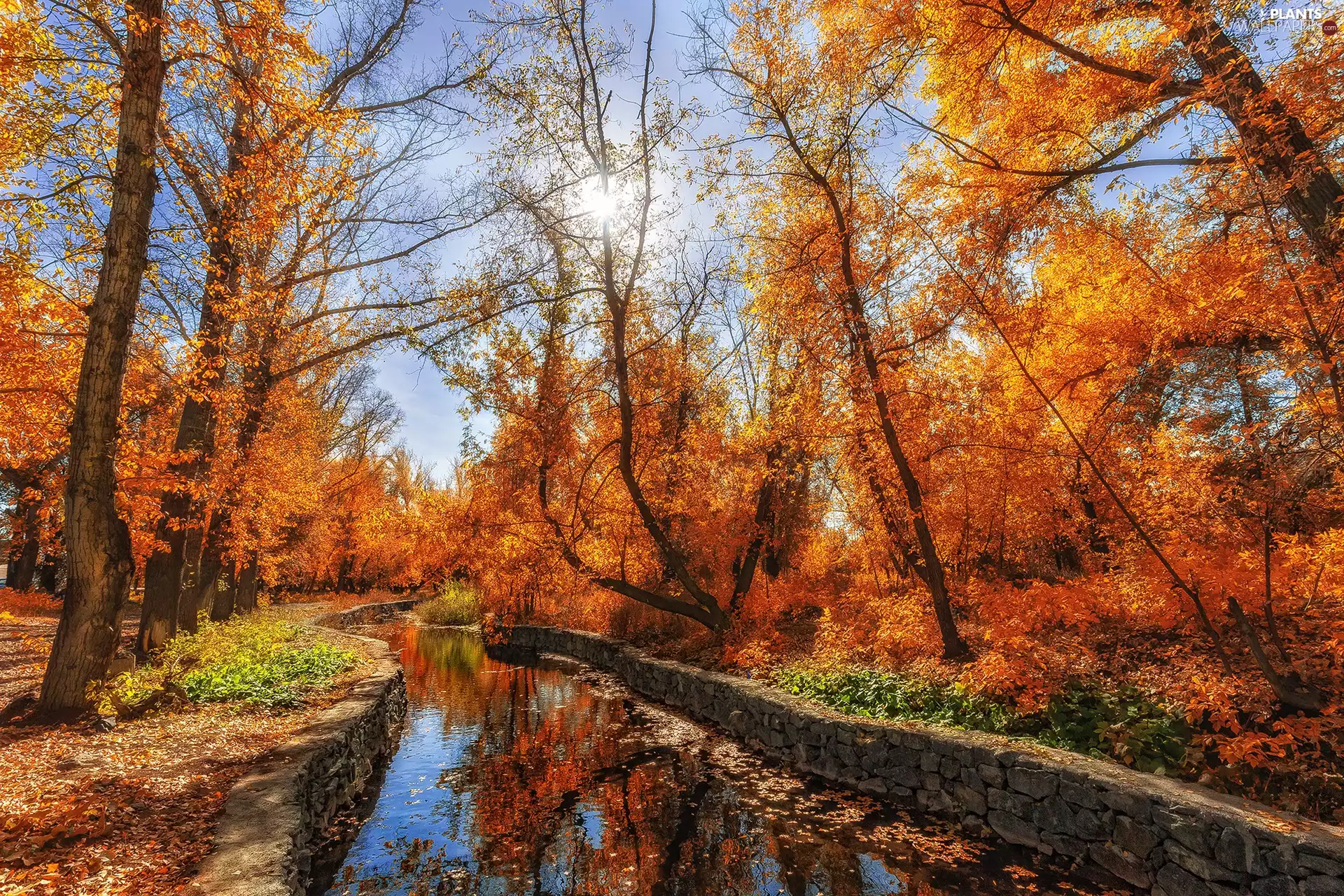 Park, trees, River, viewes, autumn, canal, sun