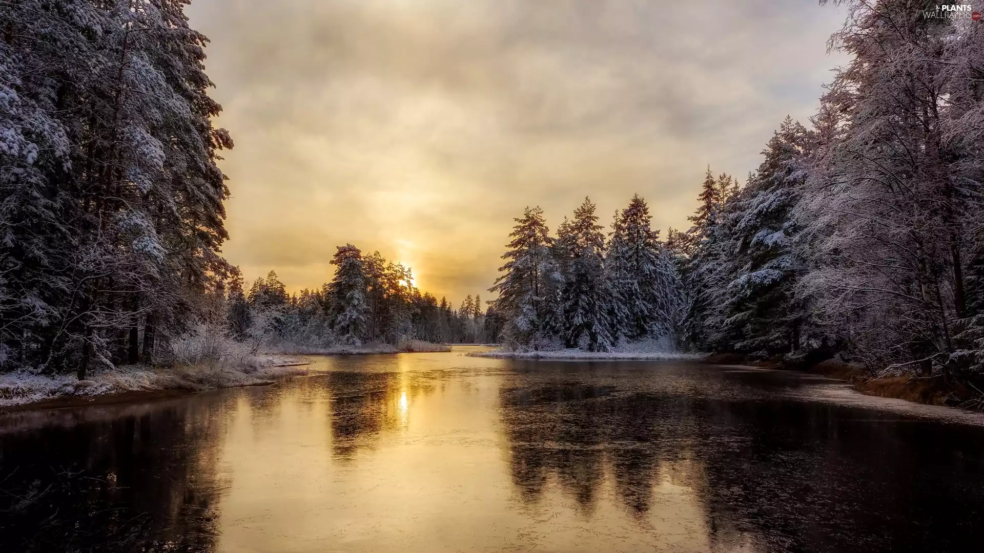 Sunrise, winter, trees, viewes, forest, River