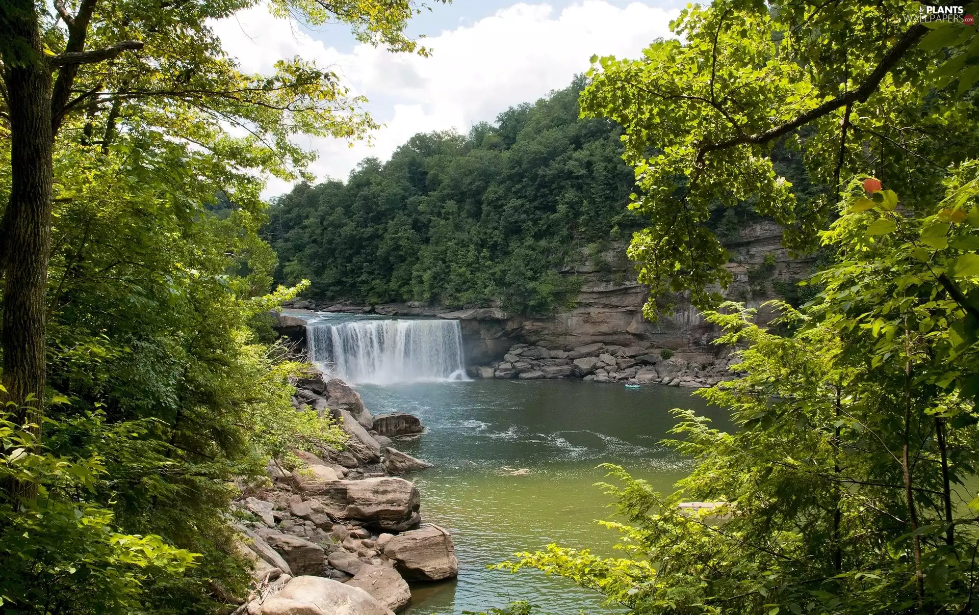 trees, viewes, River, rocks, waterfall