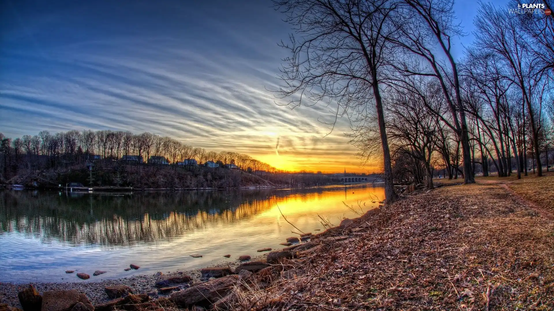 viewes, River, sun, trees, west