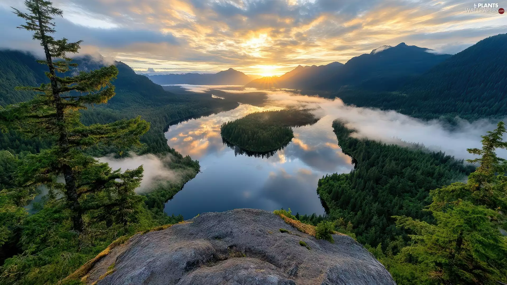 Sunrise, Fog, Rocks, trees, Softwood, River, Mountains, viewes