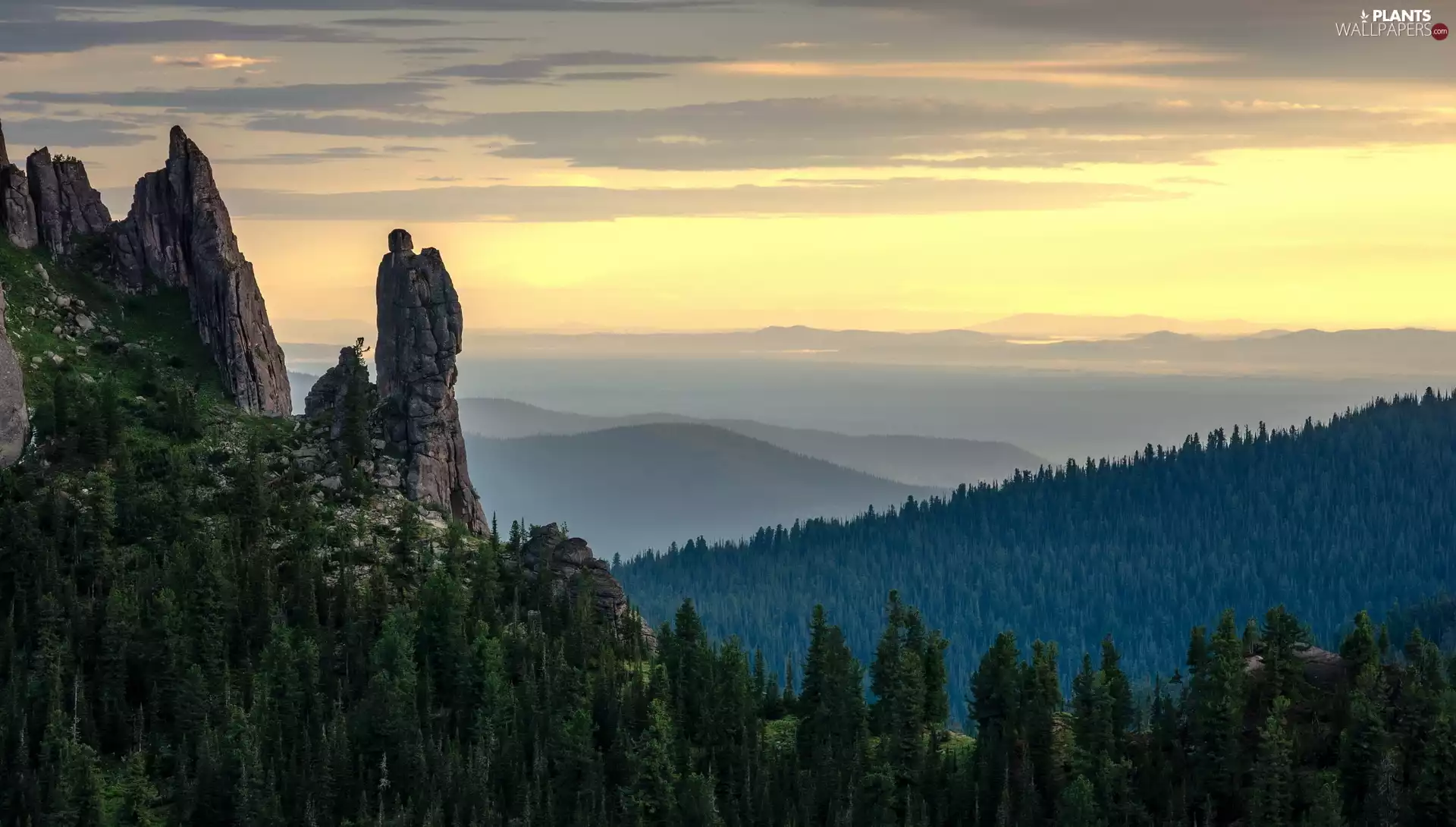 trees, viewes, rocks, forest, Mountains