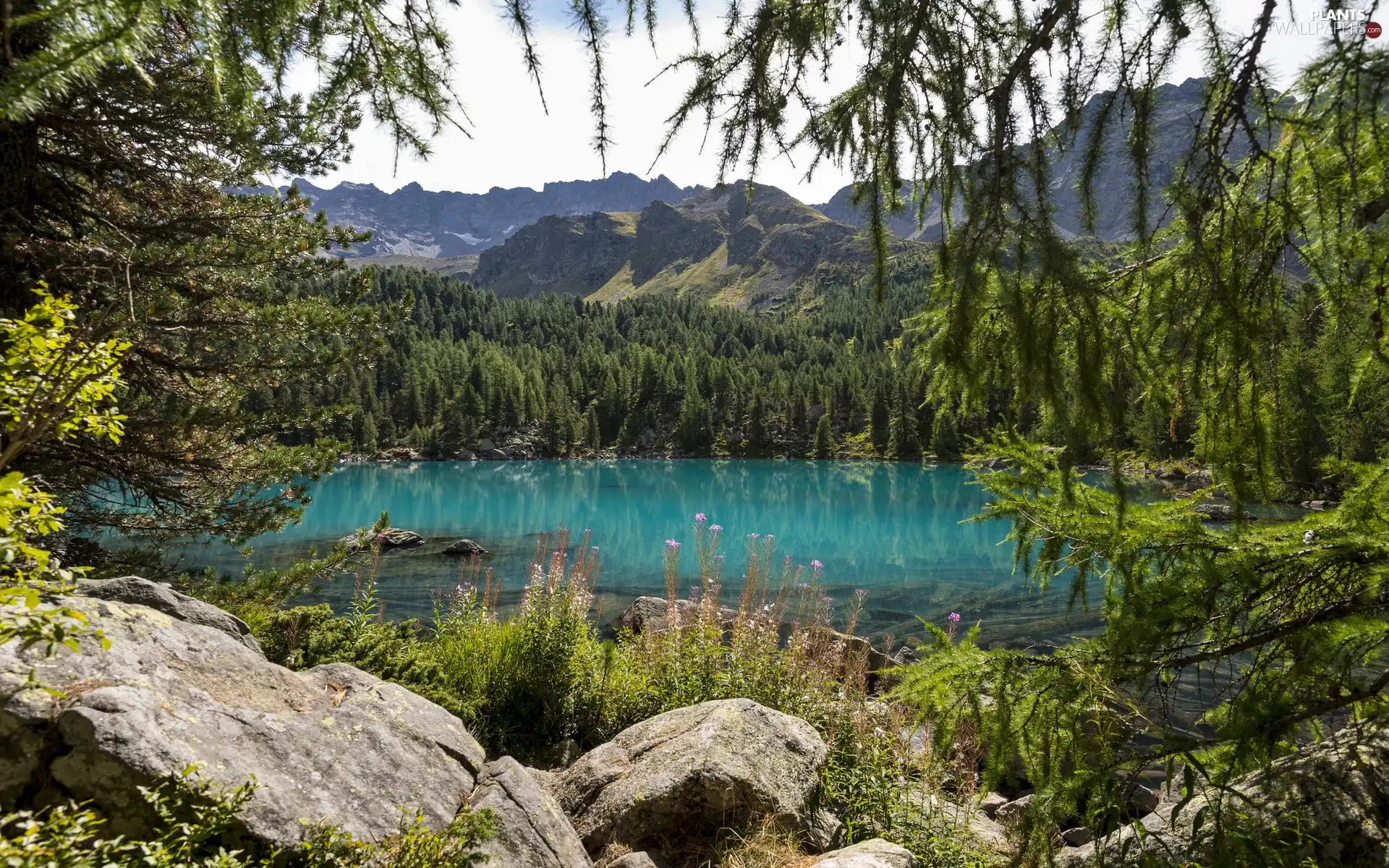 viewes, rocks, lake, trees, Mountains