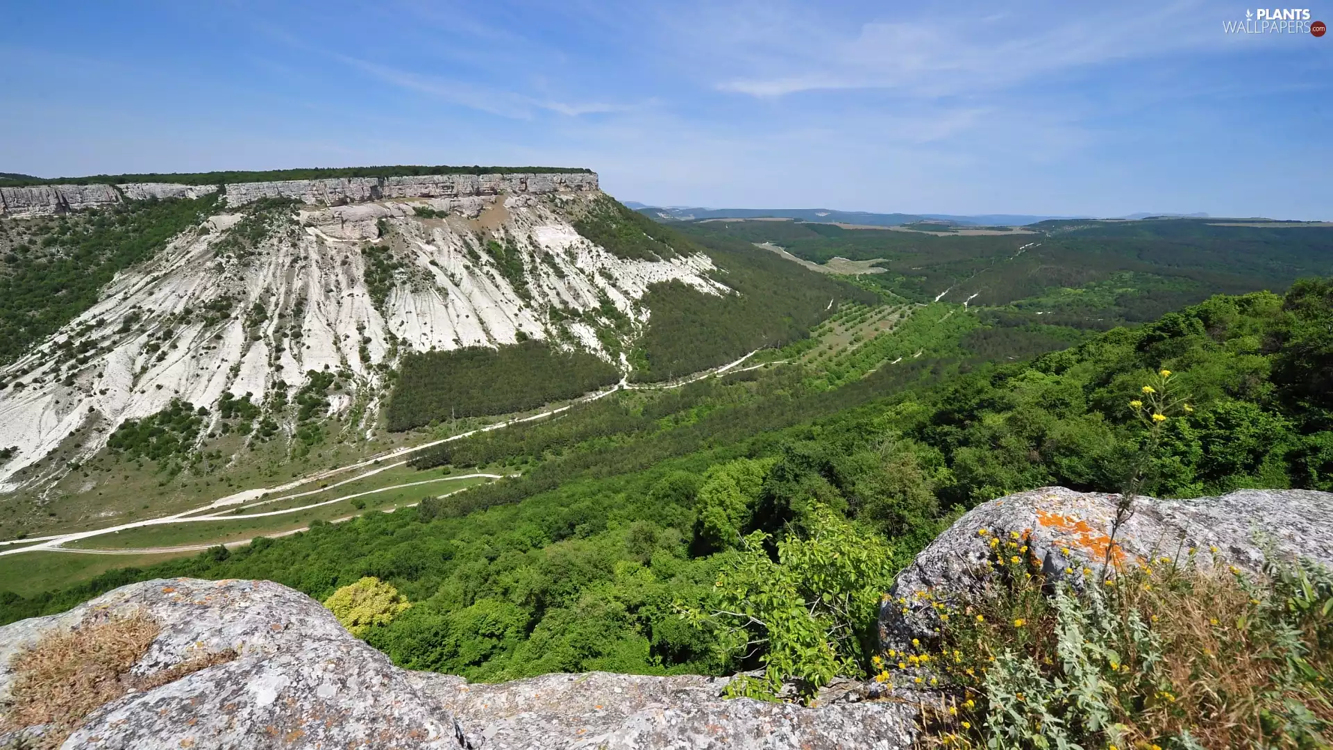 trees, viewes, rocks, woods, Mountains