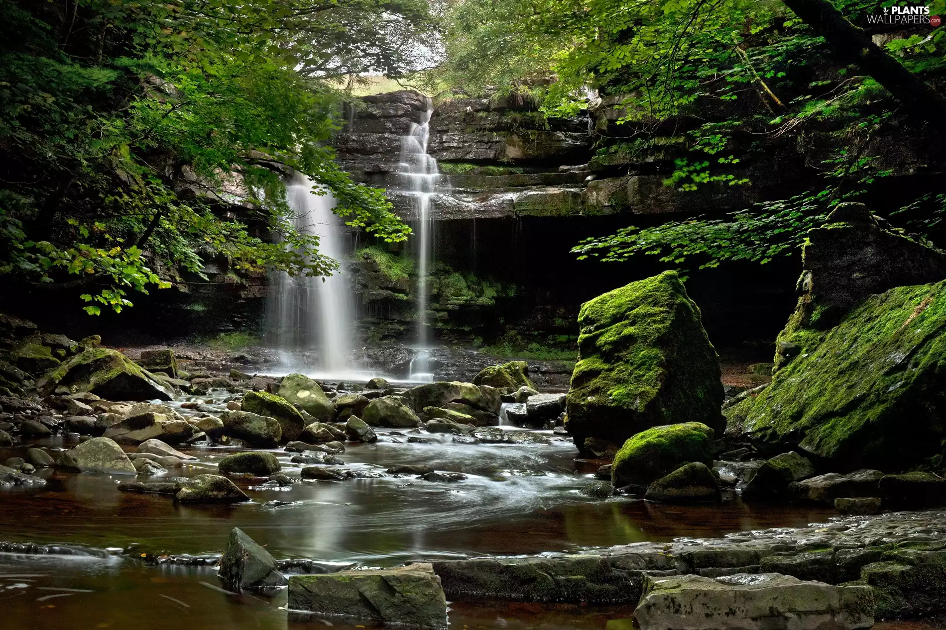 trees, viewes, rocks, waterfall, River