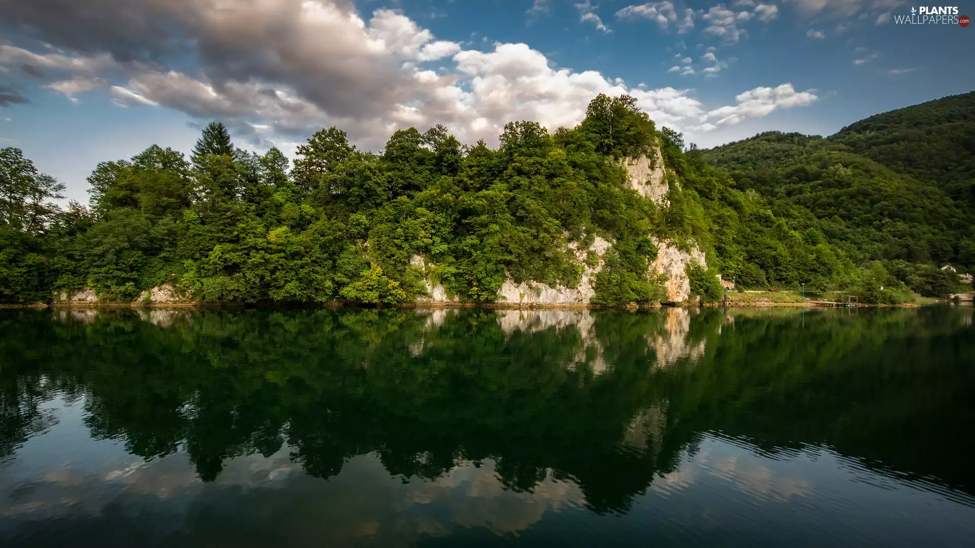 Mountains, forested, trees, viewes, lake, rocks