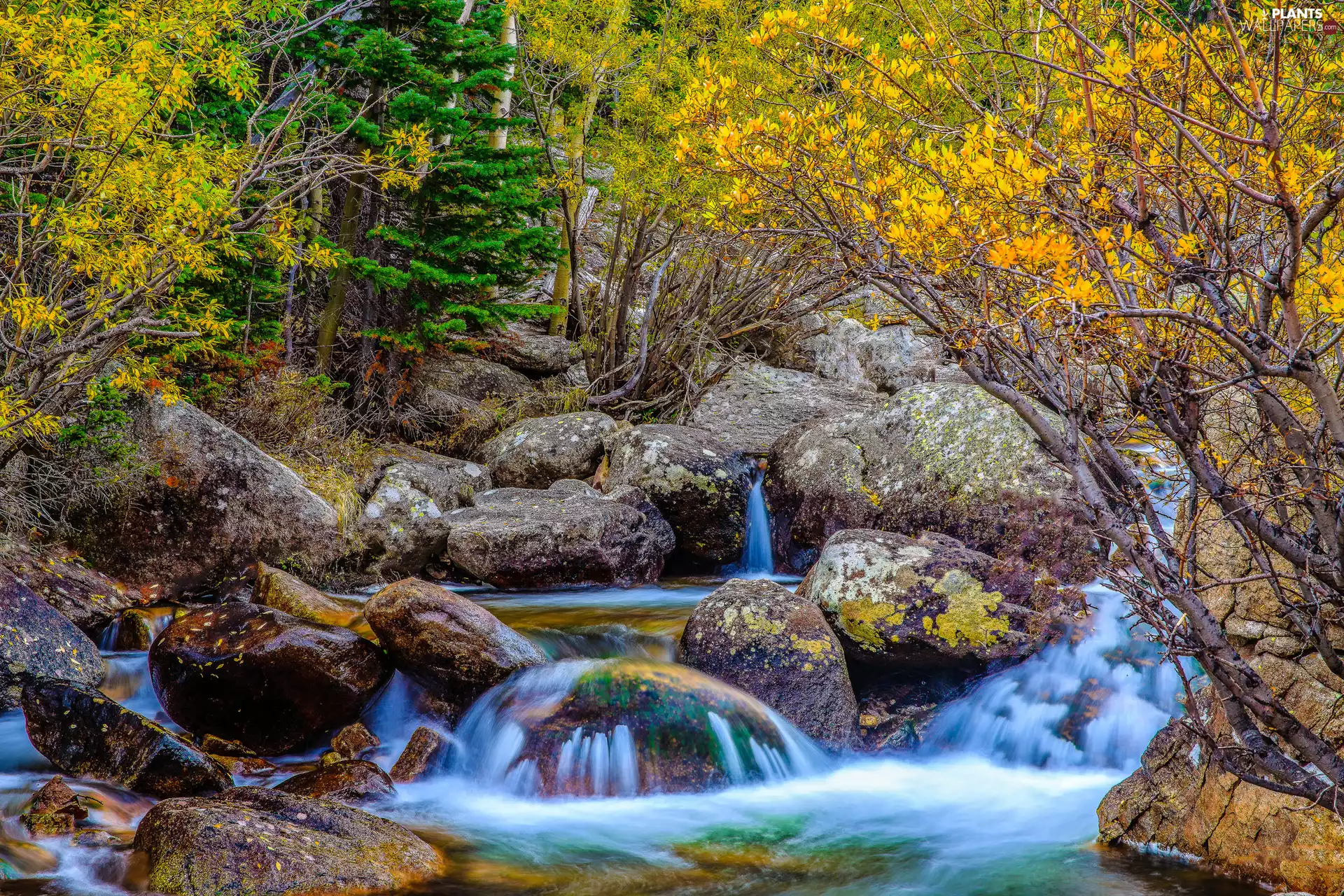 Stones, River, trees, viewes, boulders, rocks
