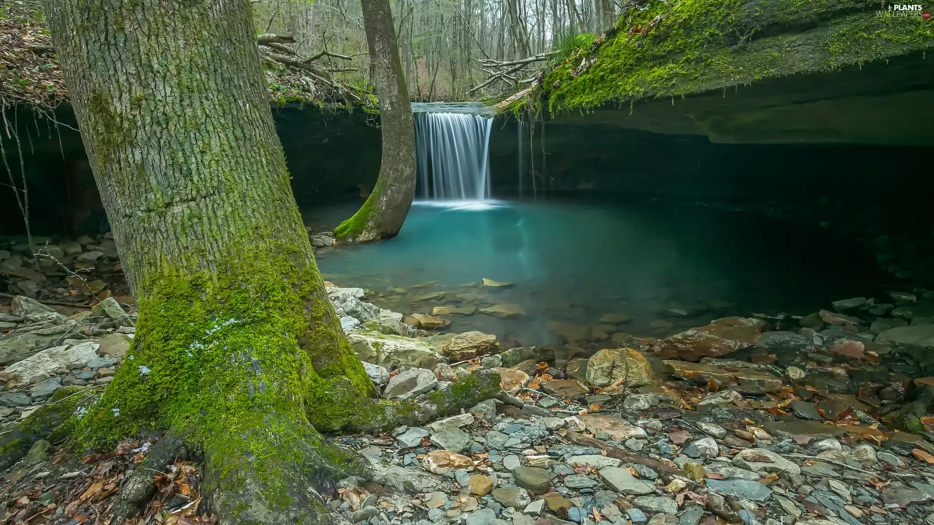 waterfall, trees, Rocks, viewes, forest, River, Stones