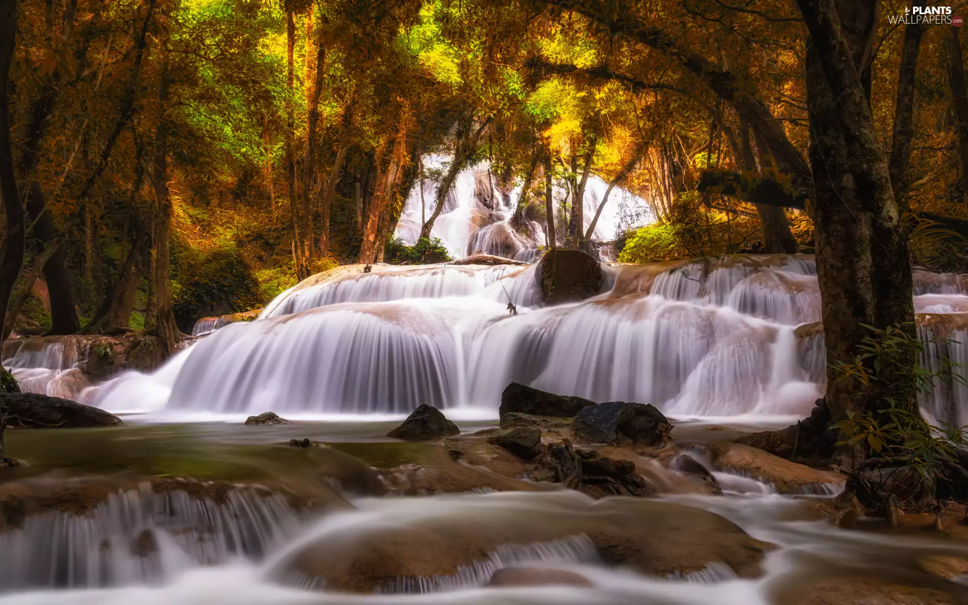 waterfall, River, trees, viewes, forest, rocks