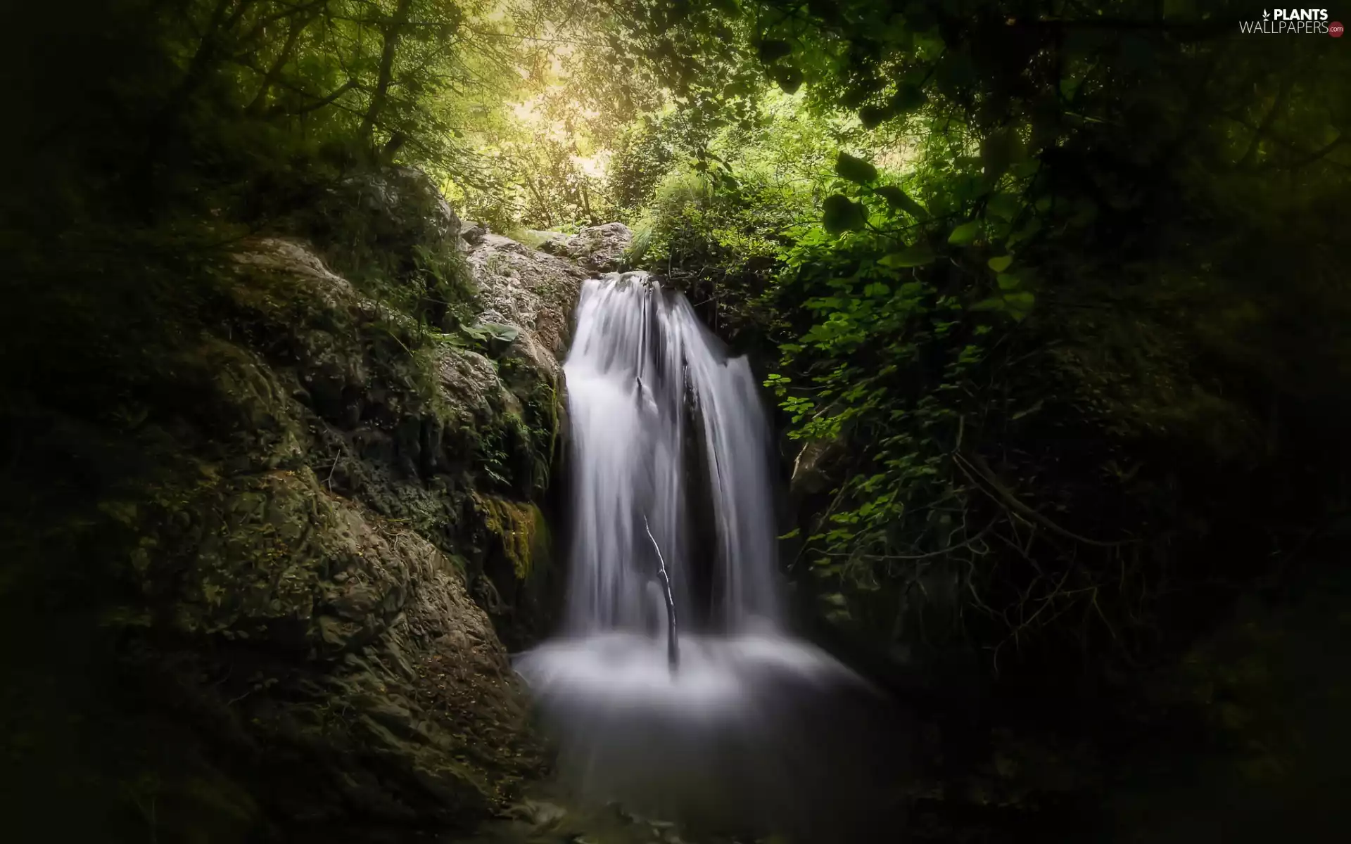 trees, viewes, rocks, VEGETATION, waterfall