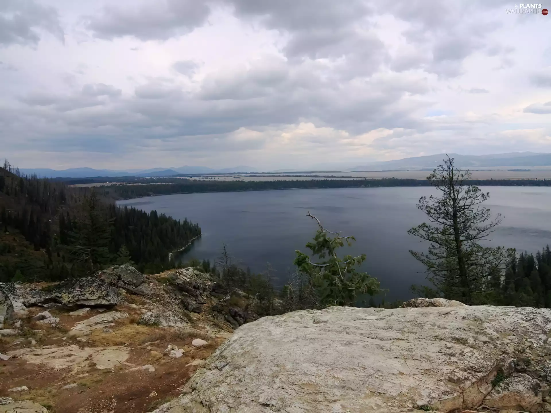 trees, viewes, Rocky, Ascension, lake