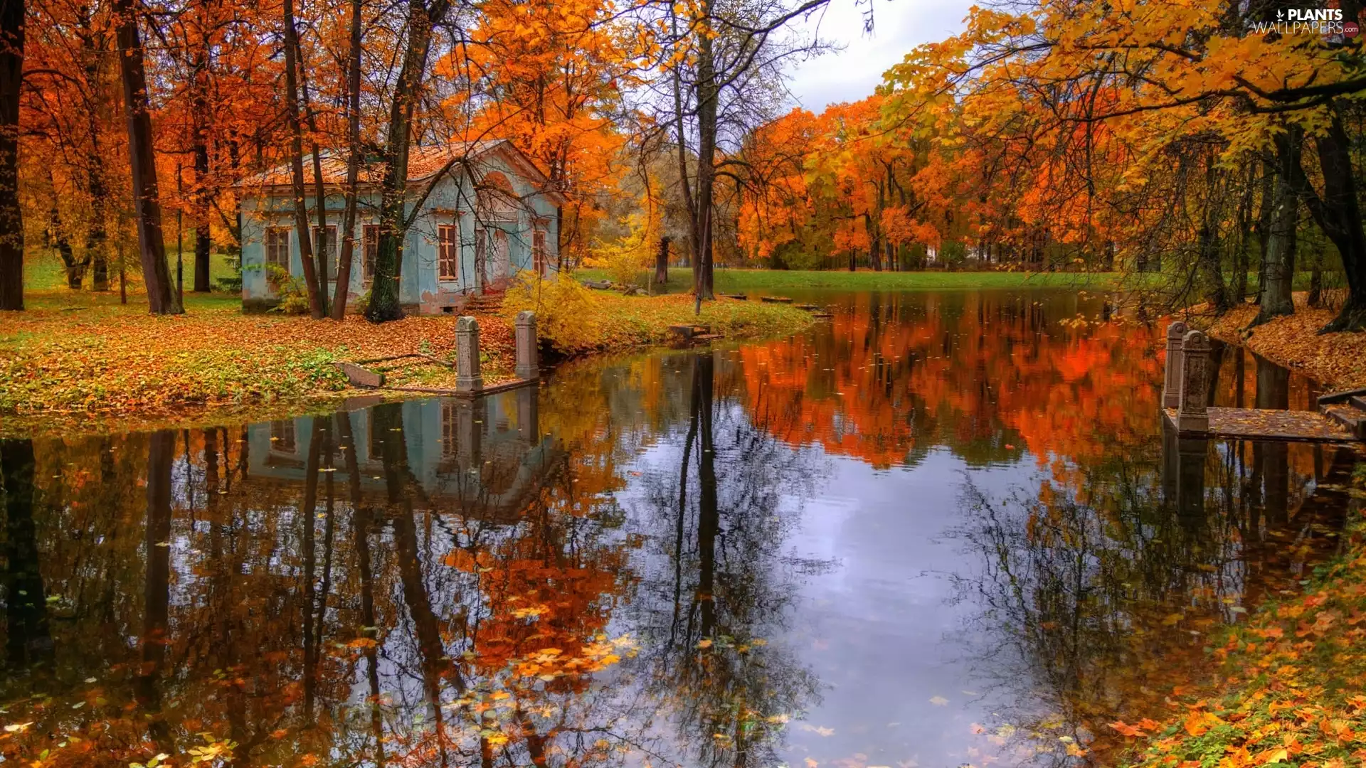 St. Petersburg, Russia, Tsarskoye Selo, autumn, Pond - car, Home, viewes, Park, trees