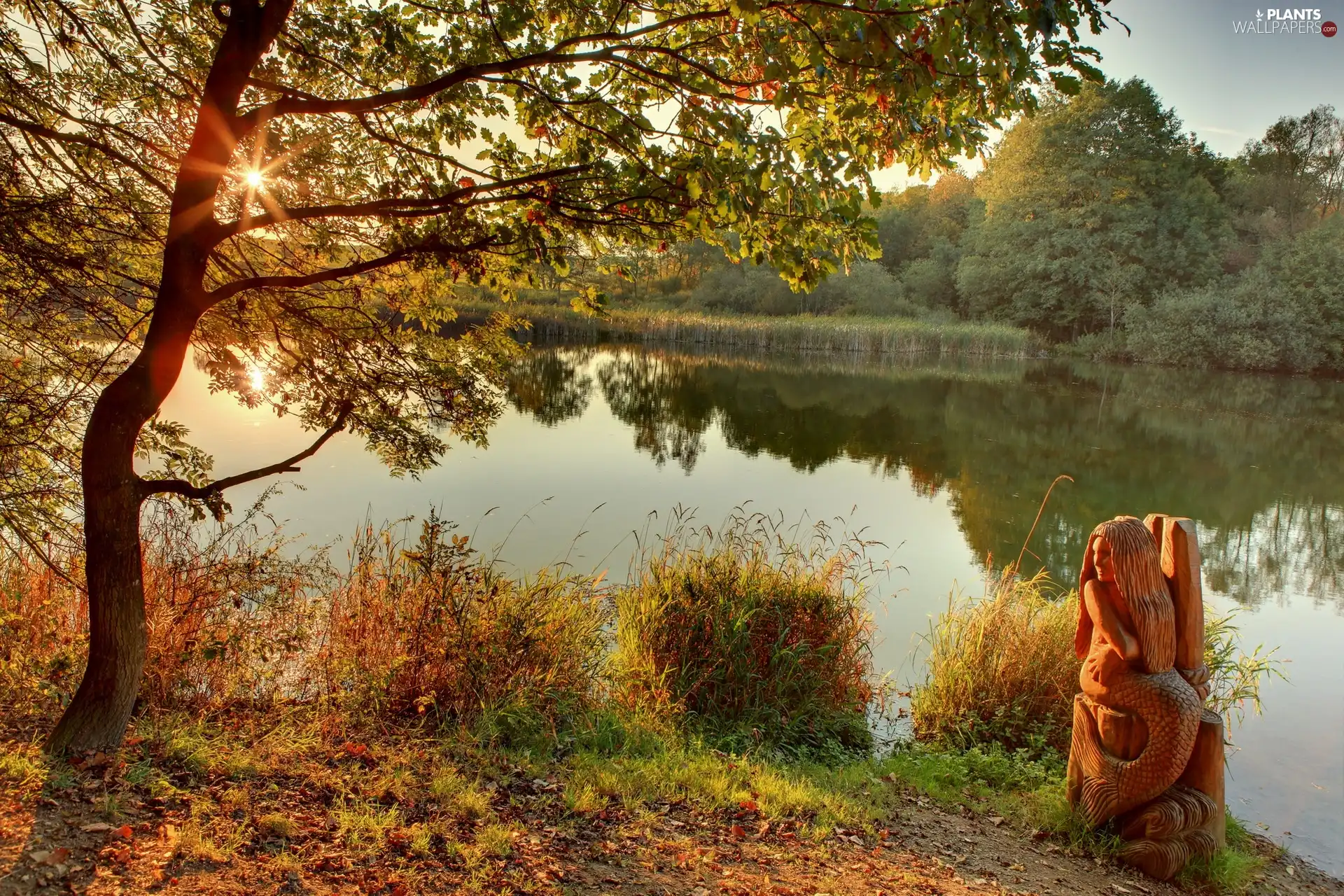 trees, rays, mermaid, sun, River, viewes, sculpture