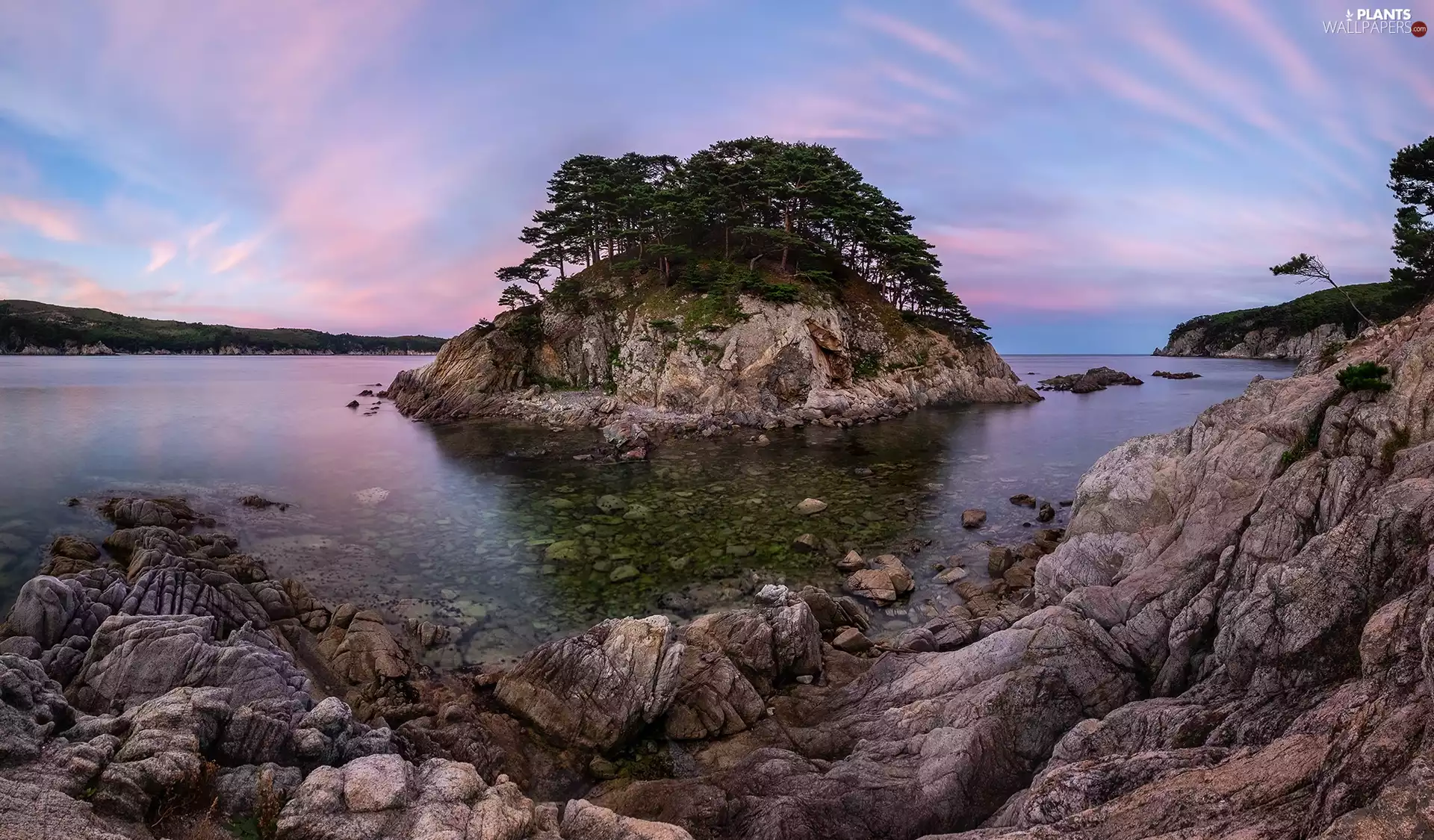 Islet, morning, trees, viewes, rocks, sea