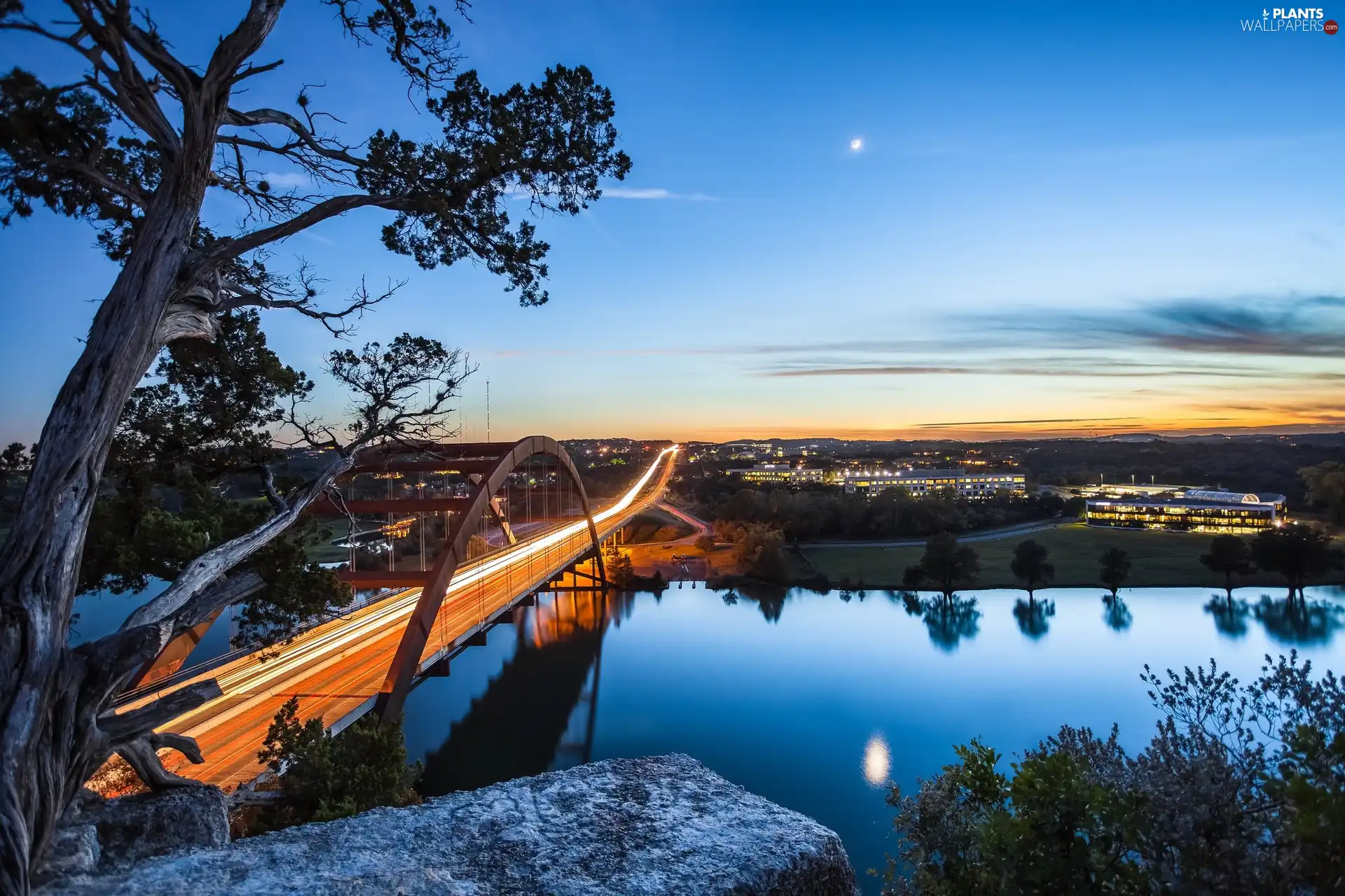 viewes, Sky, bridge, trees, River