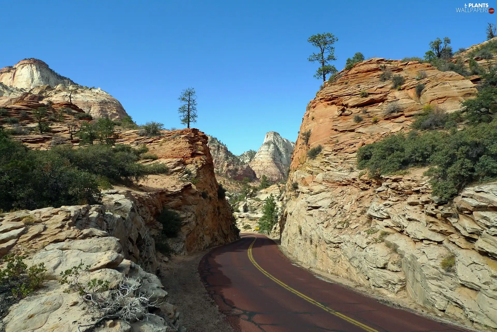 viewes, Sky, Way, trees, rocks