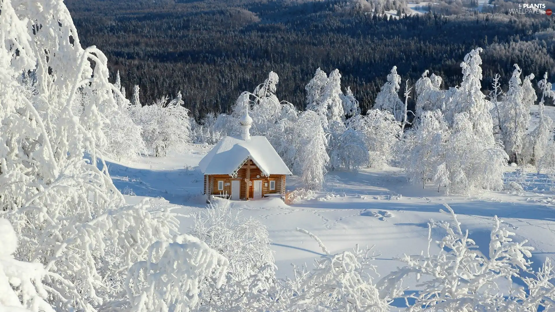trees, viewes, snow, winter, house