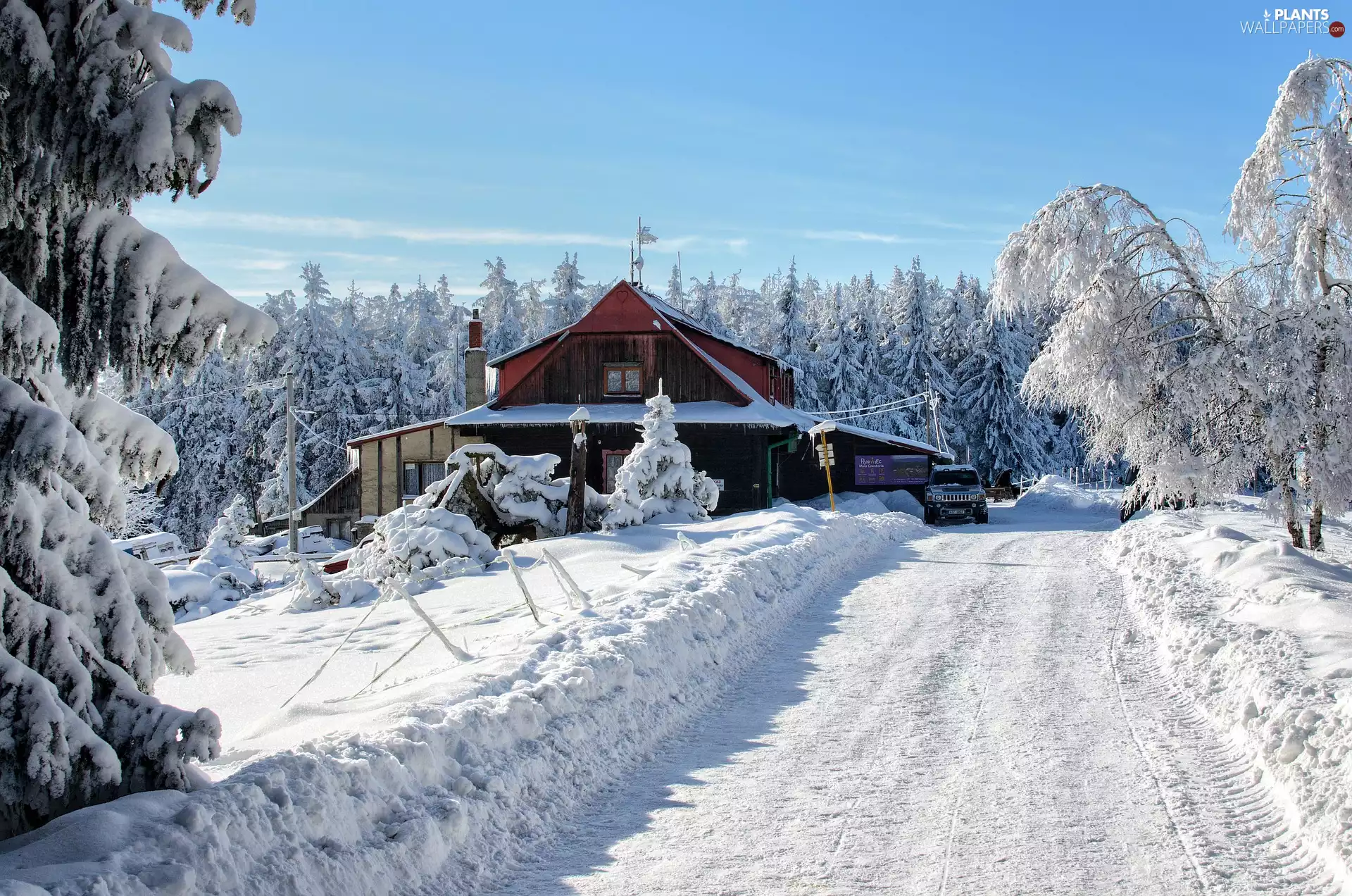 house, winter, trees, viewes, Way, snow