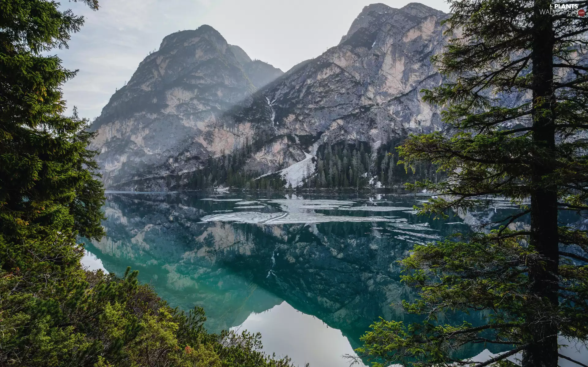 lake, Mountains, trees, viewes, reflection, snow