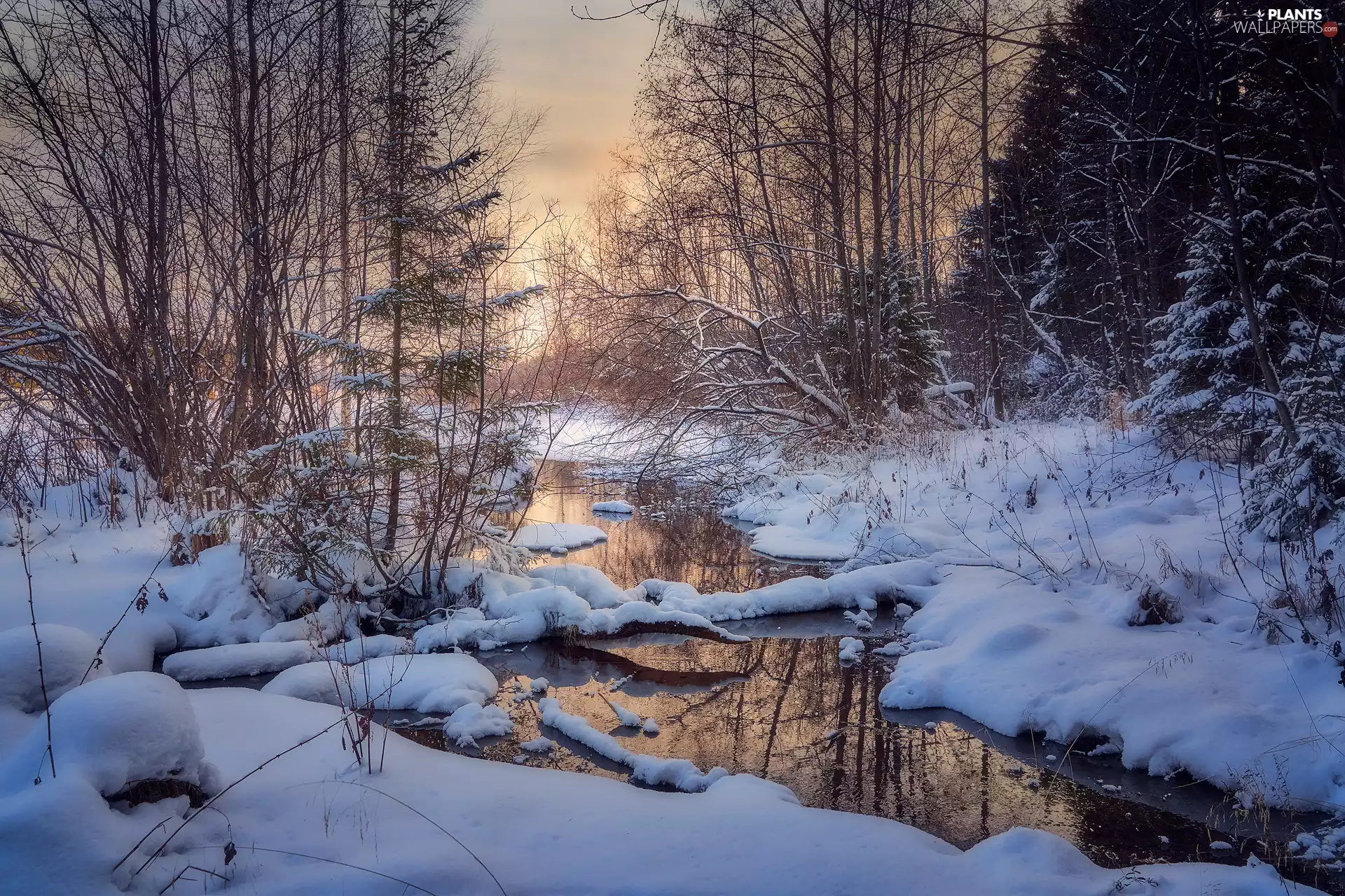 River, winter, trees, viewes, flux, snow