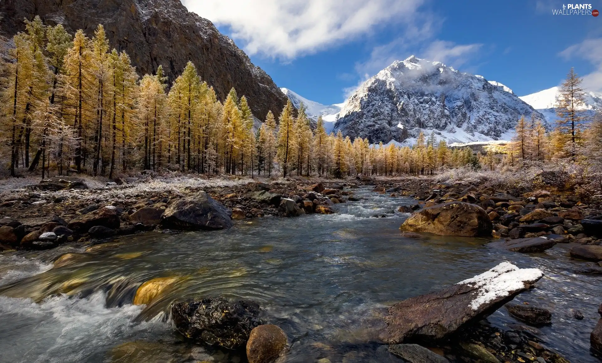 Mountains, River, viewes, snow, trees, Stones