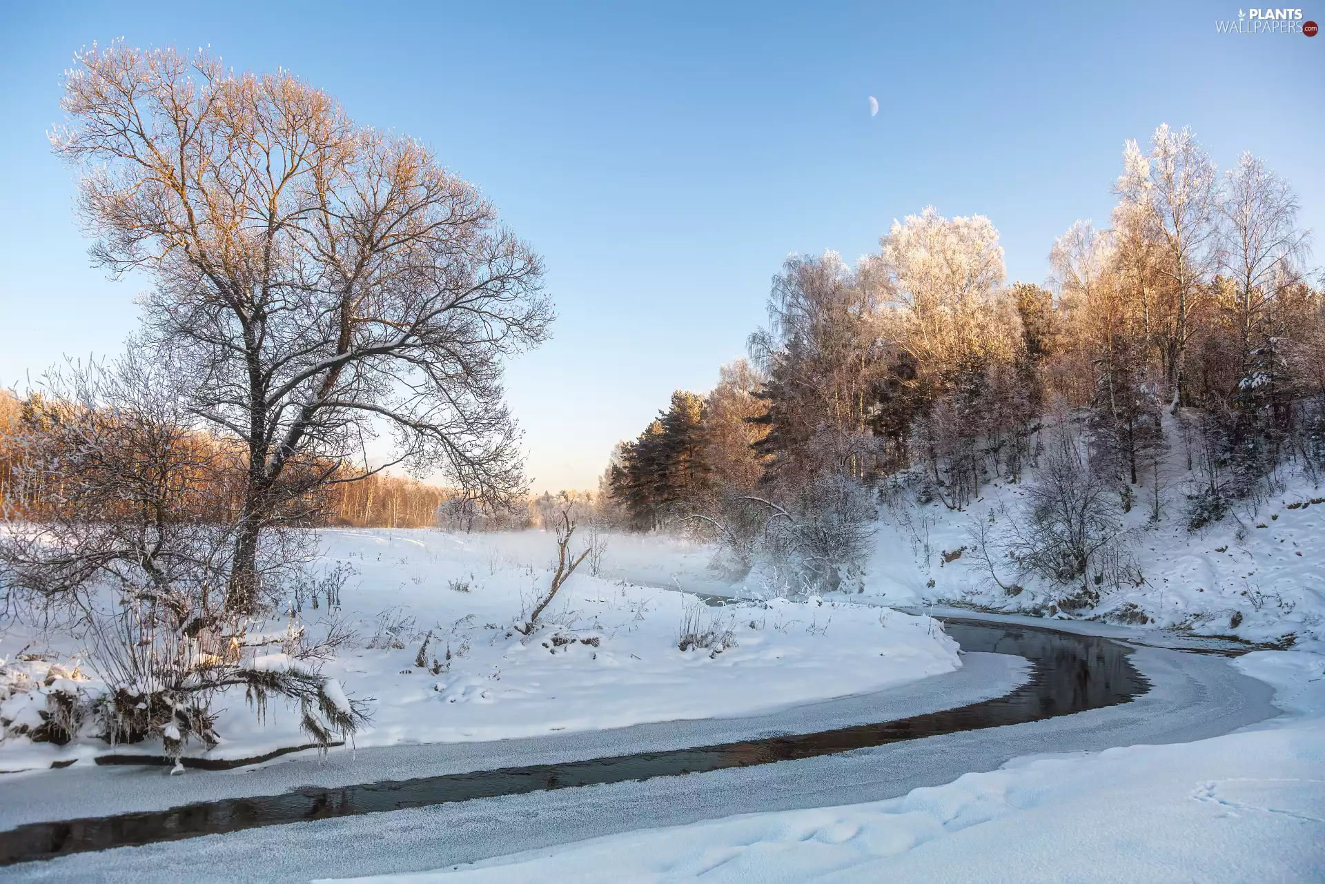 River, winter, trees, viewes, Snowy, snow