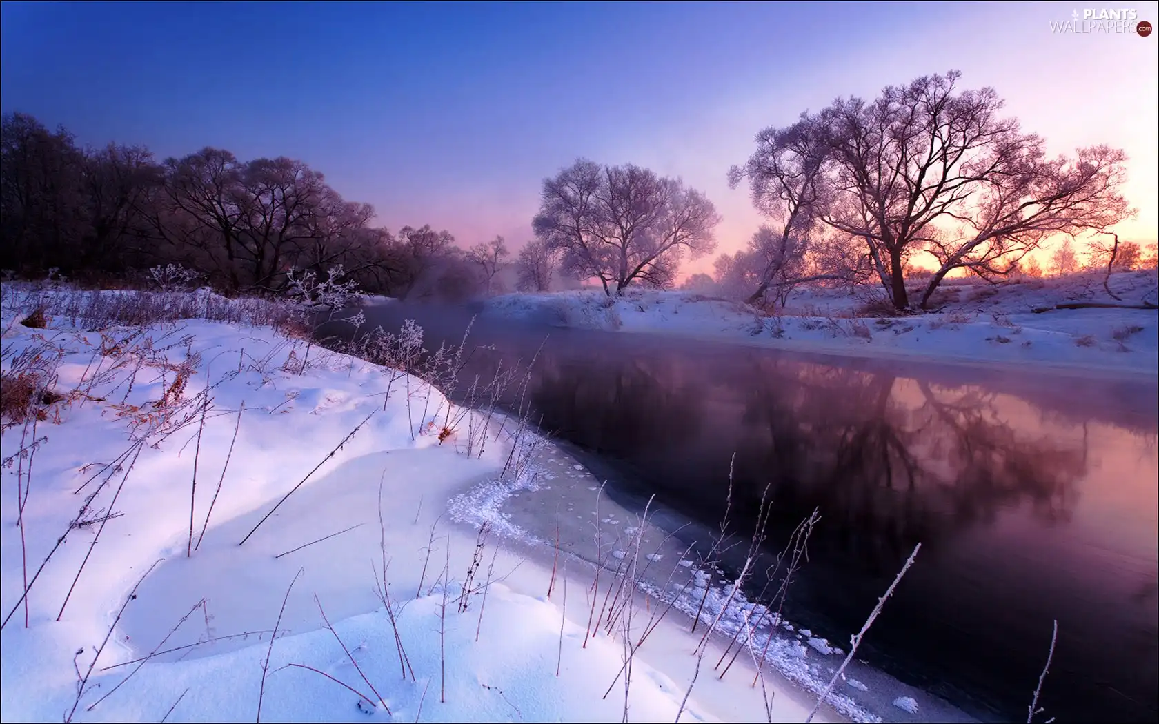 River, west, viewes, snow, trees, sun