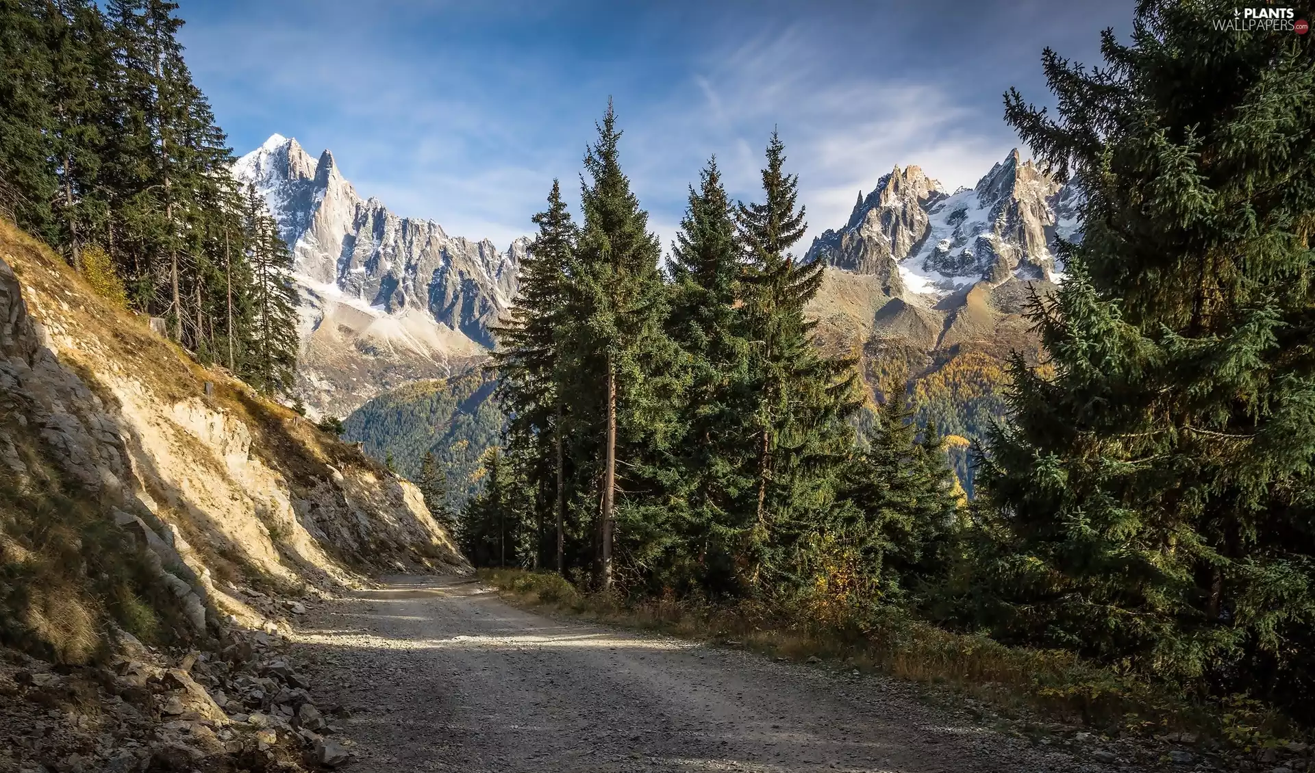 peaks, Mountains, trees, viewes, Way, Snowy