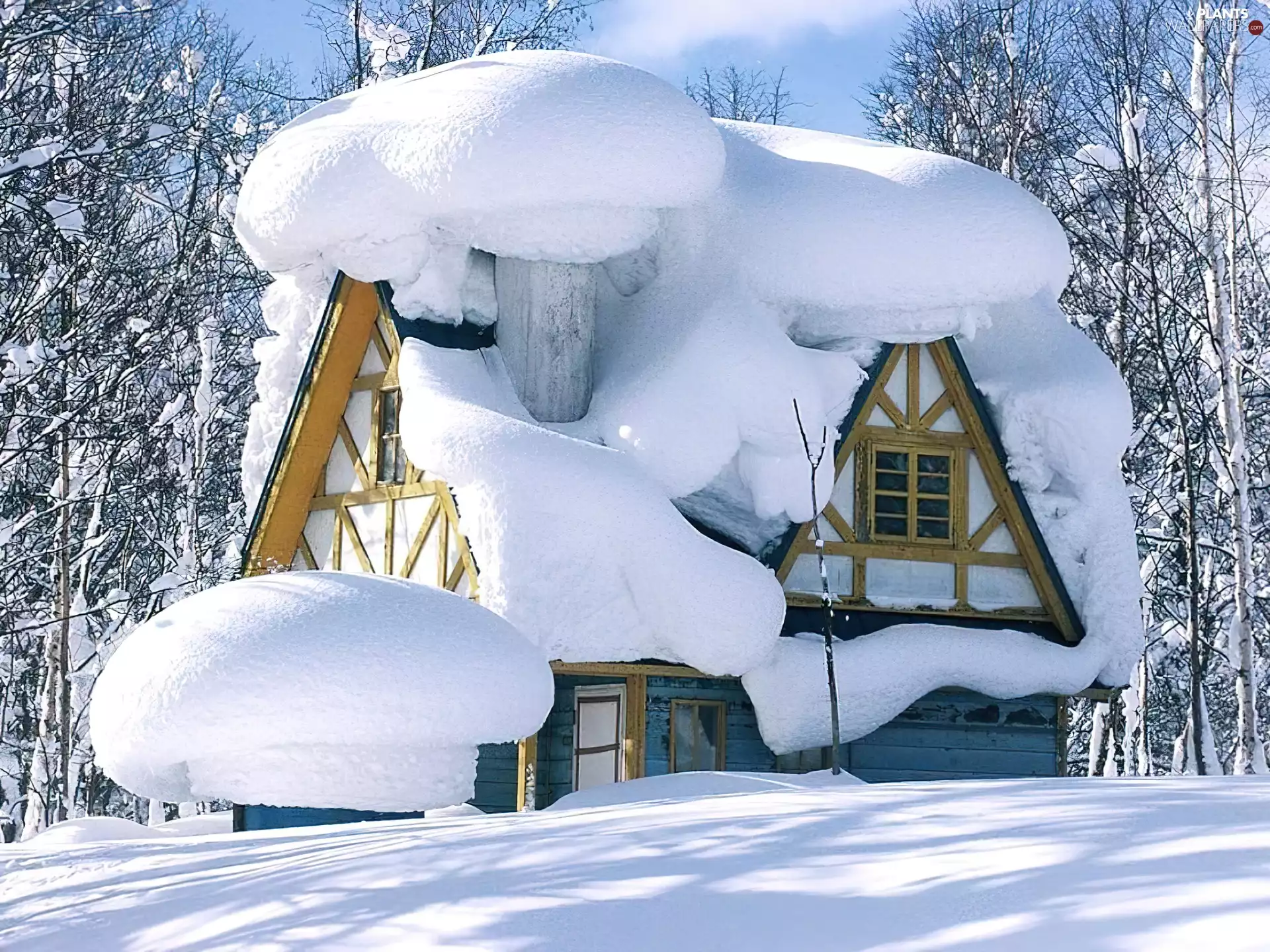 trees, viewes, snowy, house, winter