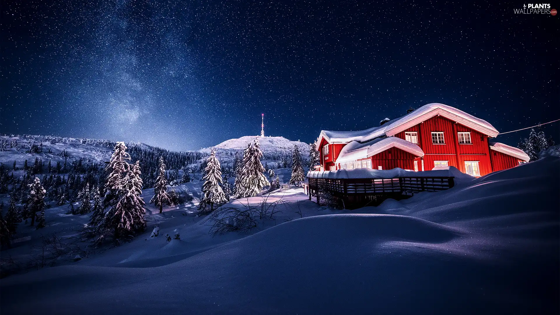 winter, drifts, star, trees, Night, house, Floodlit, viewes