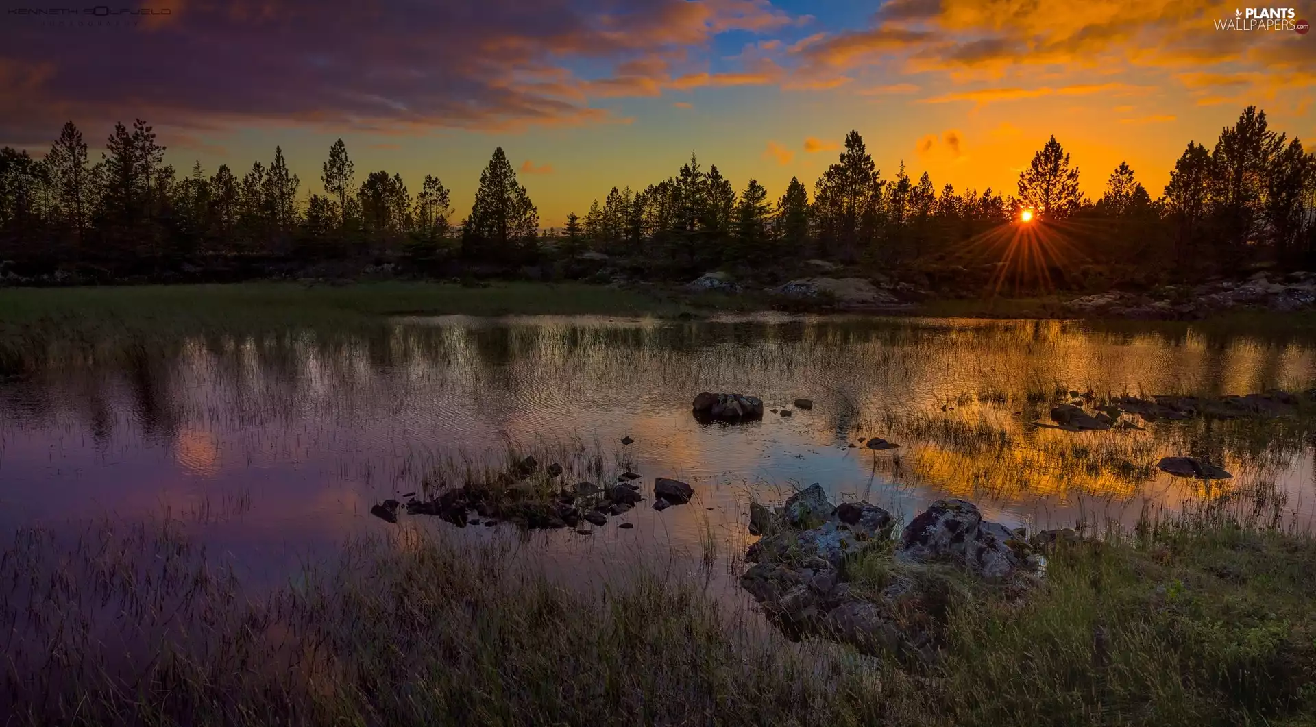 viewes, River, Great Sunsets, rays of the Sun, Stones, trees
