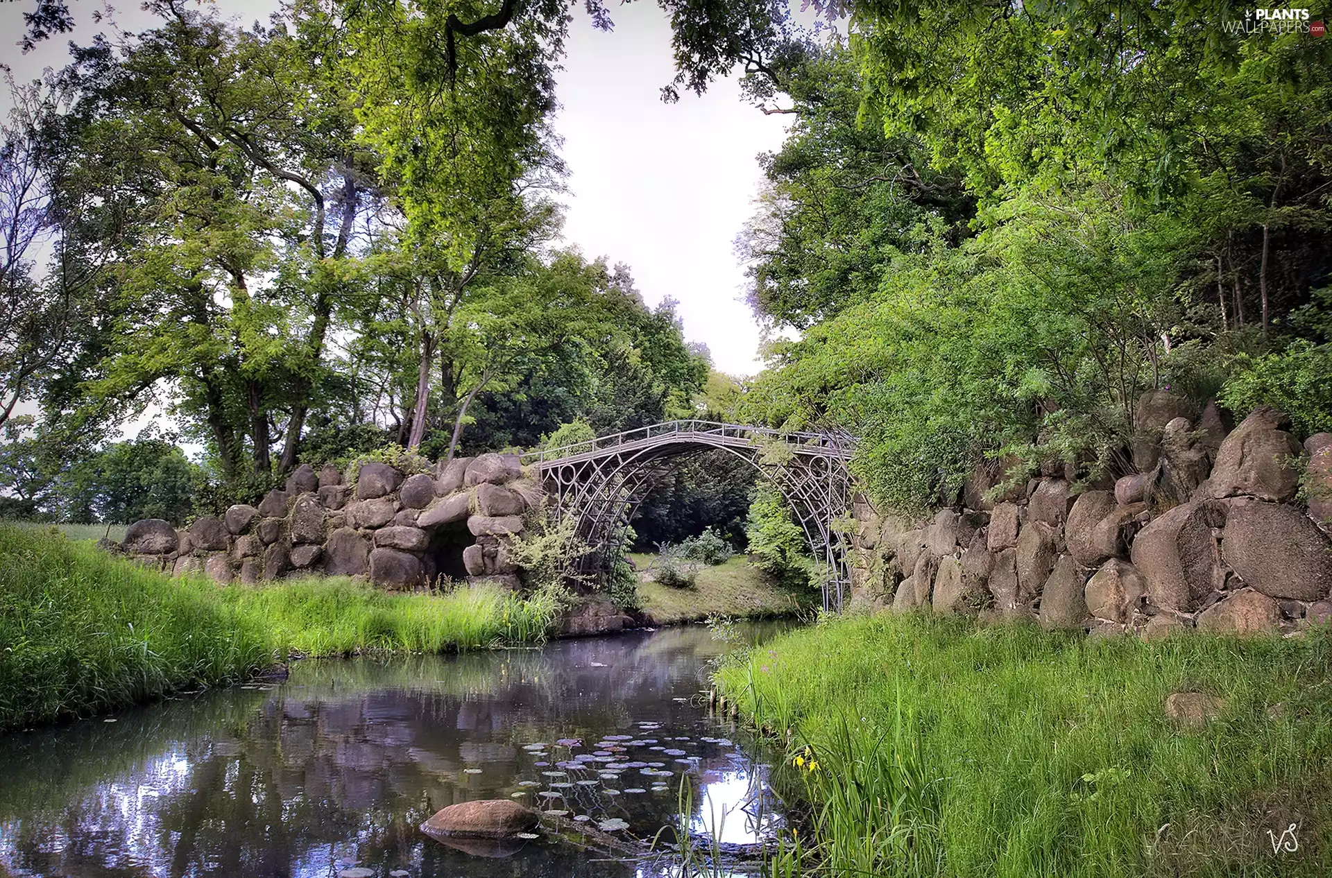 trees, viewes, Stones, bridge, River