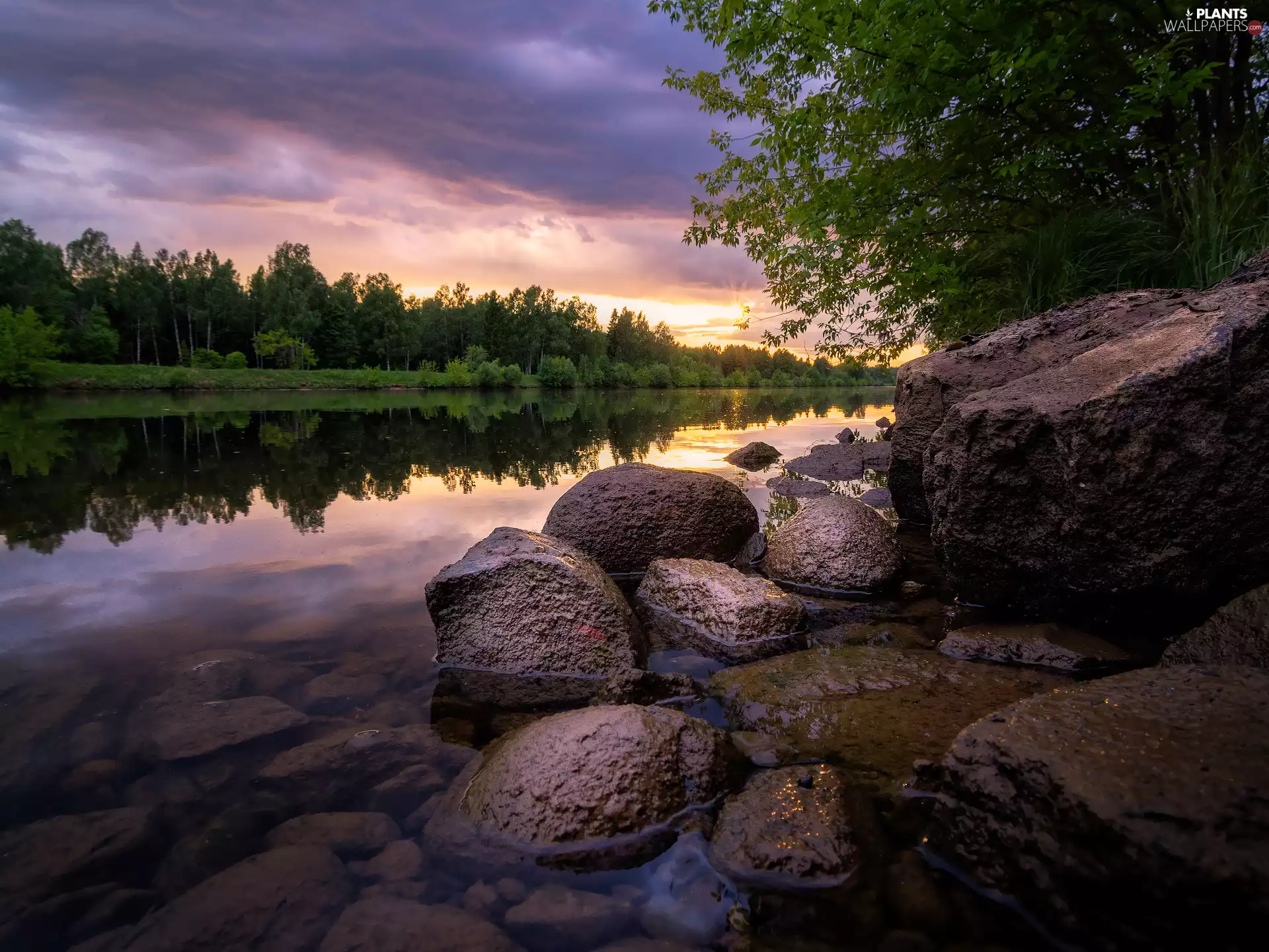 clouds, River, trees, viewes, Sunrise, Stones