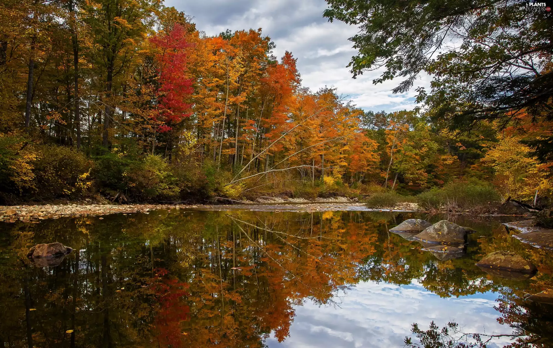 autumn, trees, Stones, viewes, River, clouds, reflection
