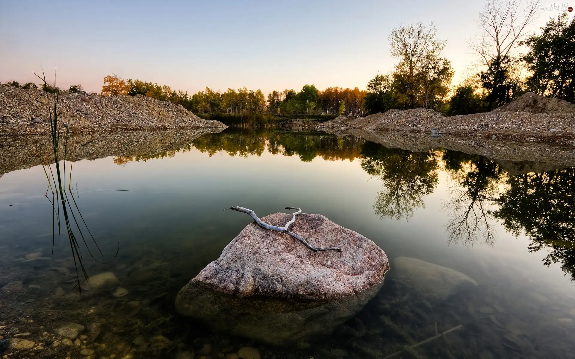 Stones, trees, viewes, water