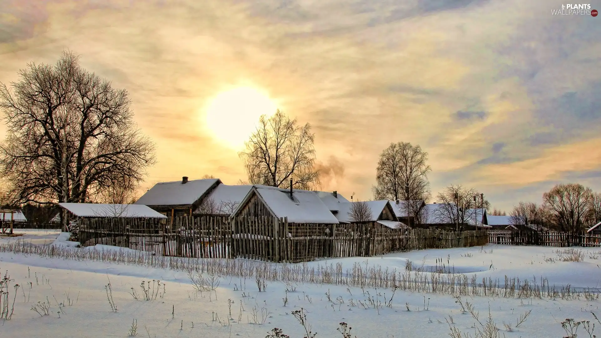 trees, wood, west, Houses, winter, viewes, sun