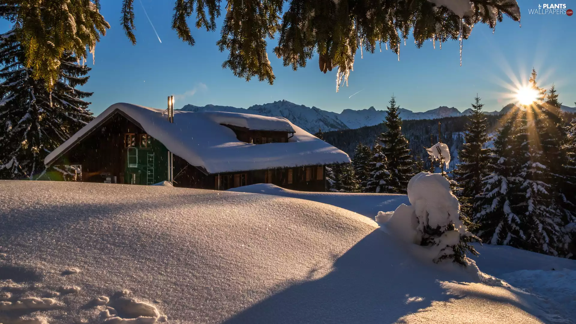 viewes, house, snow, trees, winter, rays of the Sun, Mountains