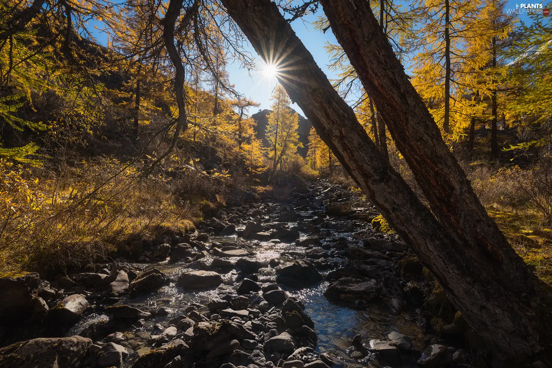 viewes, autumn, Stones, rays of the Sun, River, trees