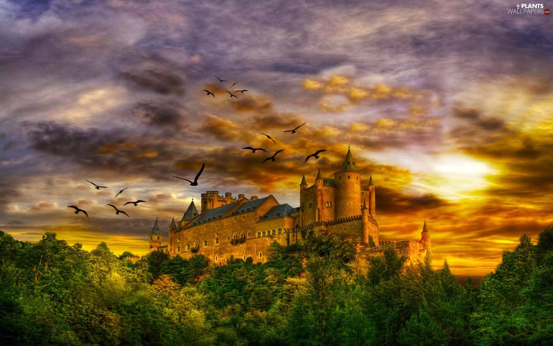 Castle, west, trees, viewes, birds, sun