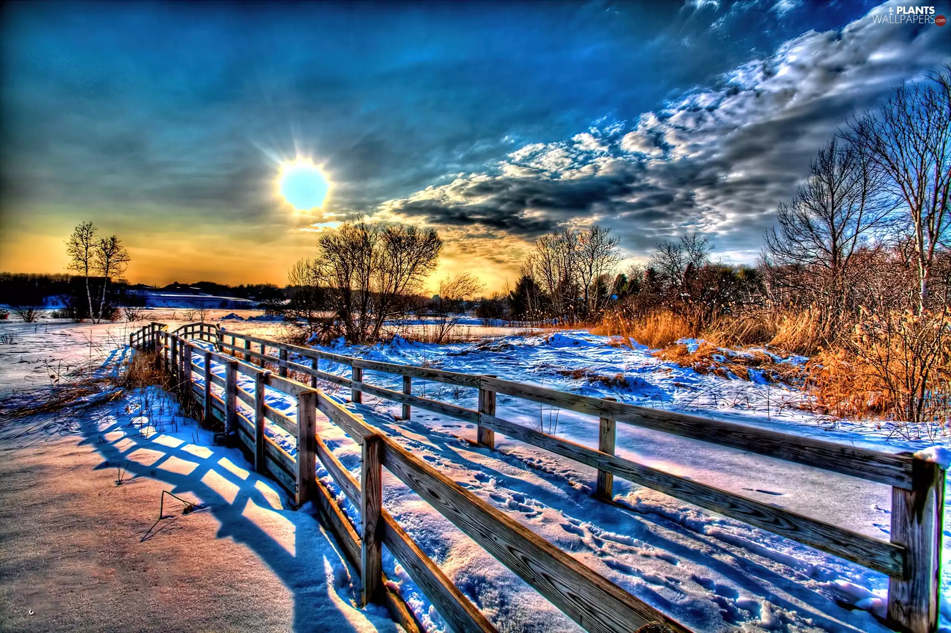 clouds, bridge, trees, viewes, snow, sun