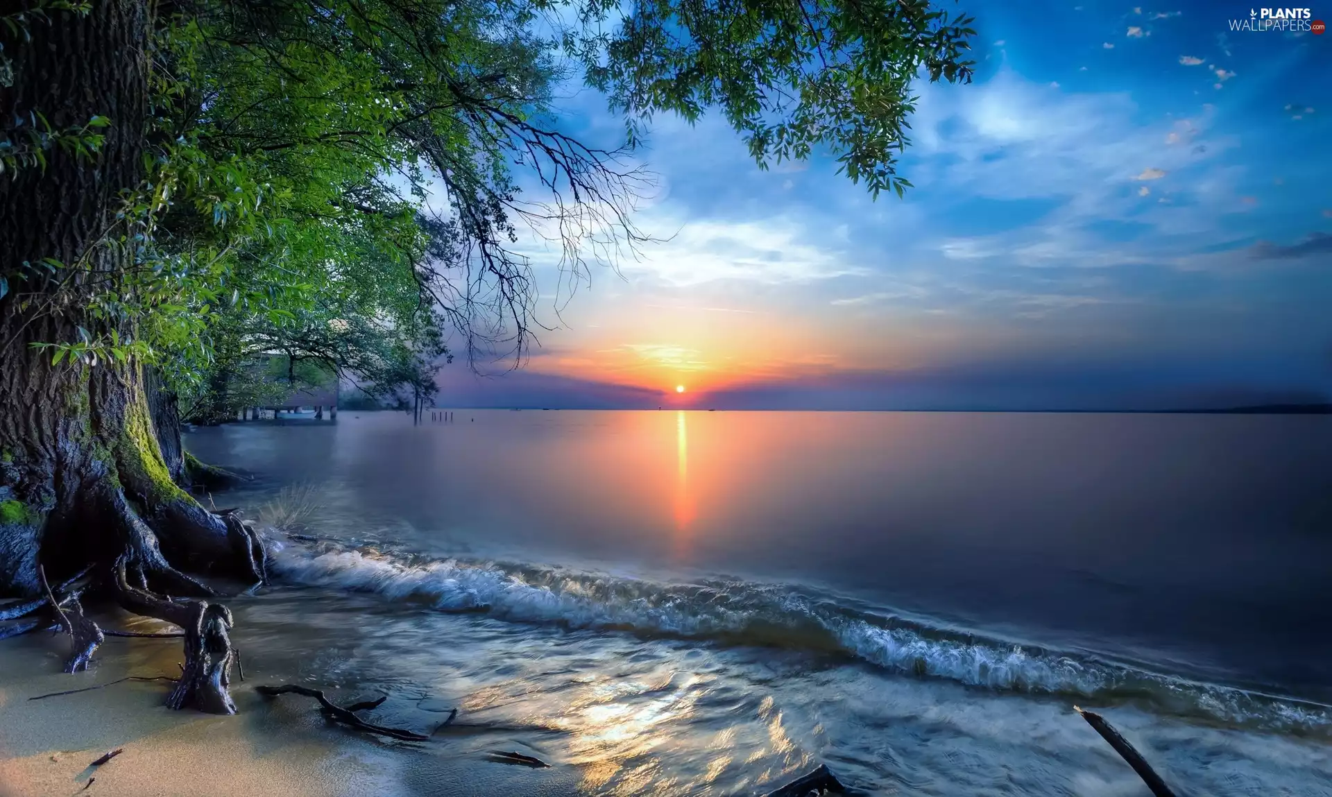lake, east, trees, viewes, coast, sun