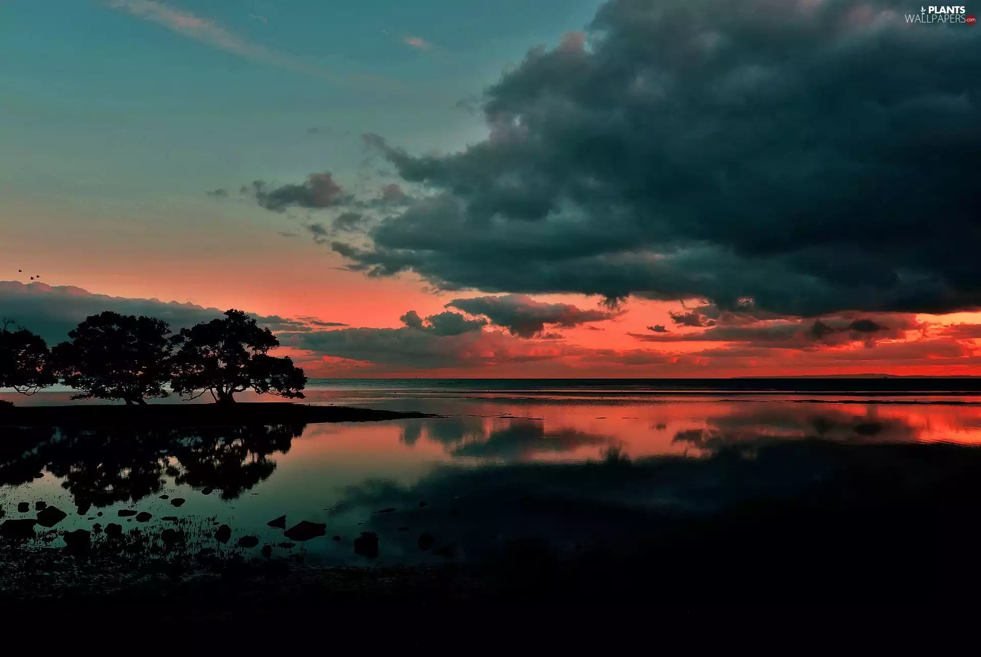 clouds, trees, sun, viewes, lake, west, reflection