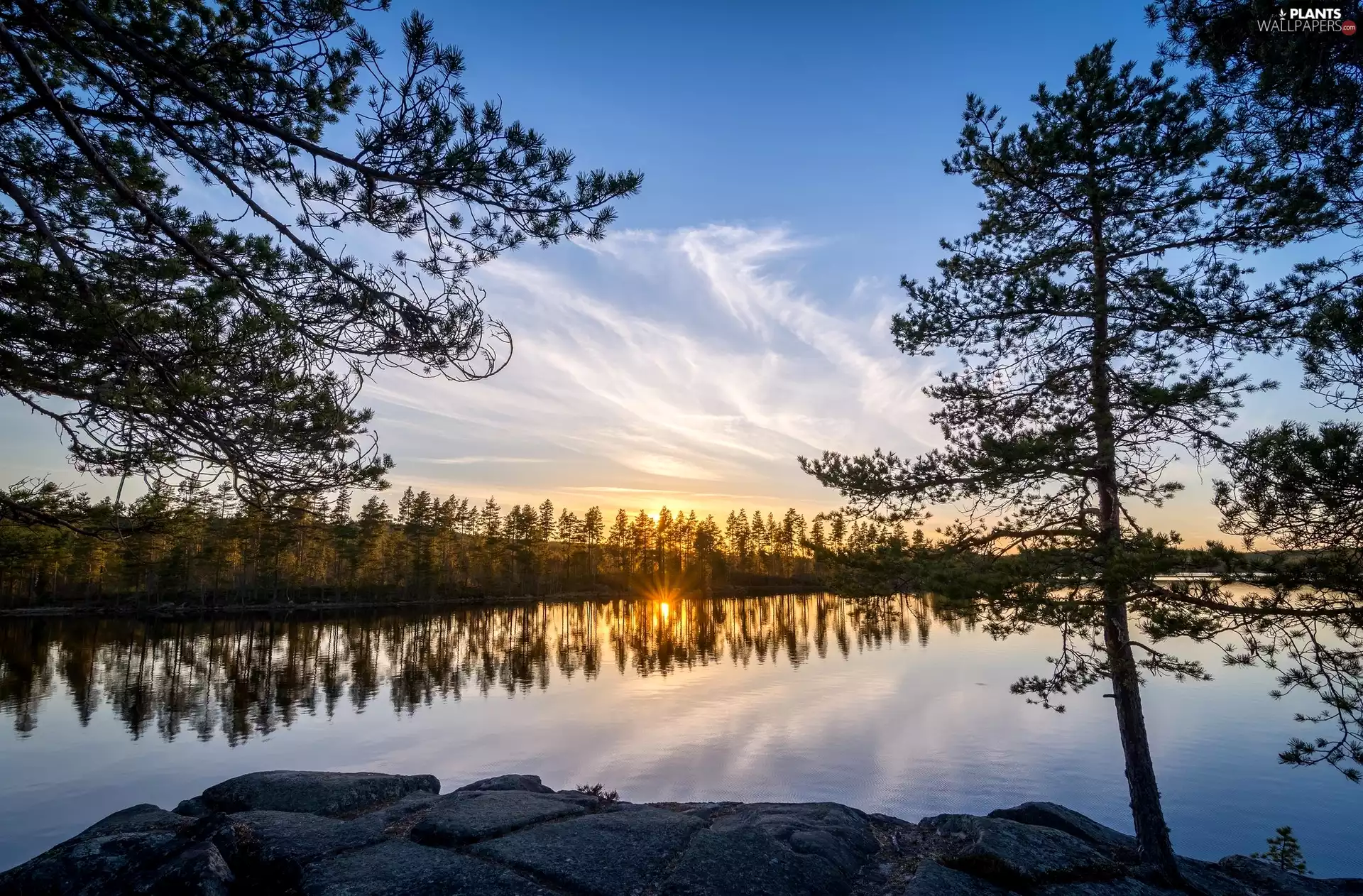 Stones, trees, sun, viewes, River, west, reflection