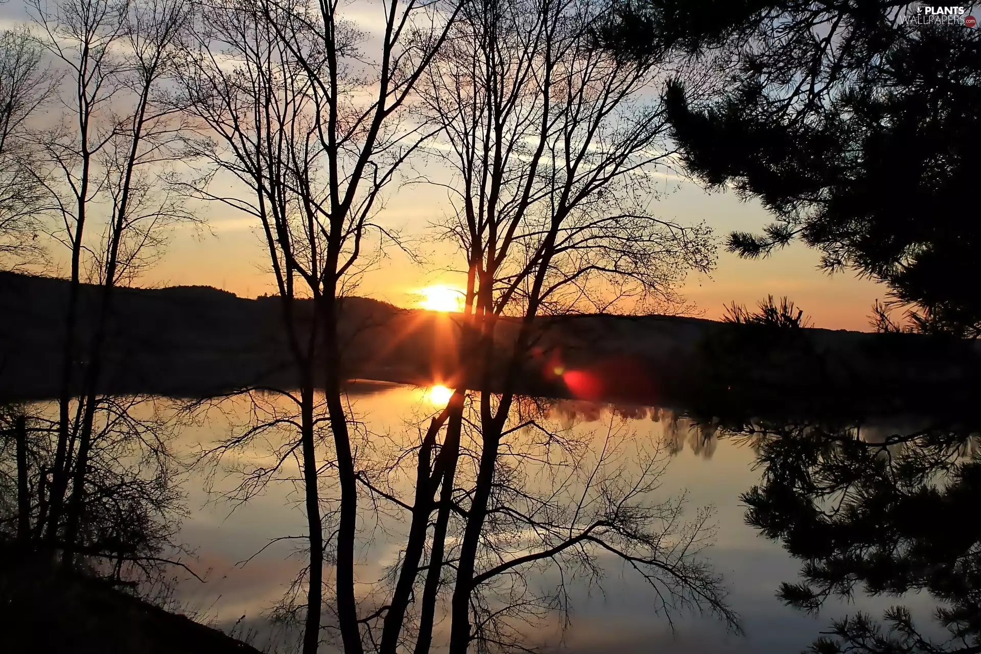 trees, viewes, sun, lake, west
