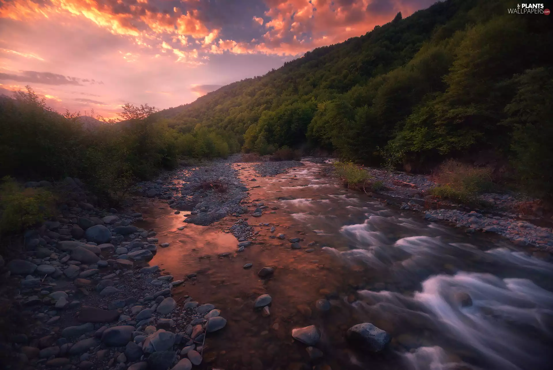Mountains, Hill, Sunrise, trees, forest, Stones, River, viewes