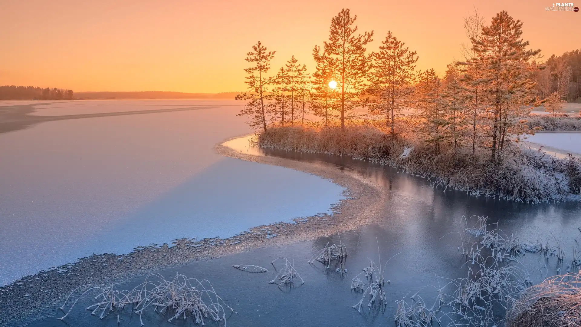 lake, Ladoga, Sunrise, trees, winter, Karelia, Russia, viewes
